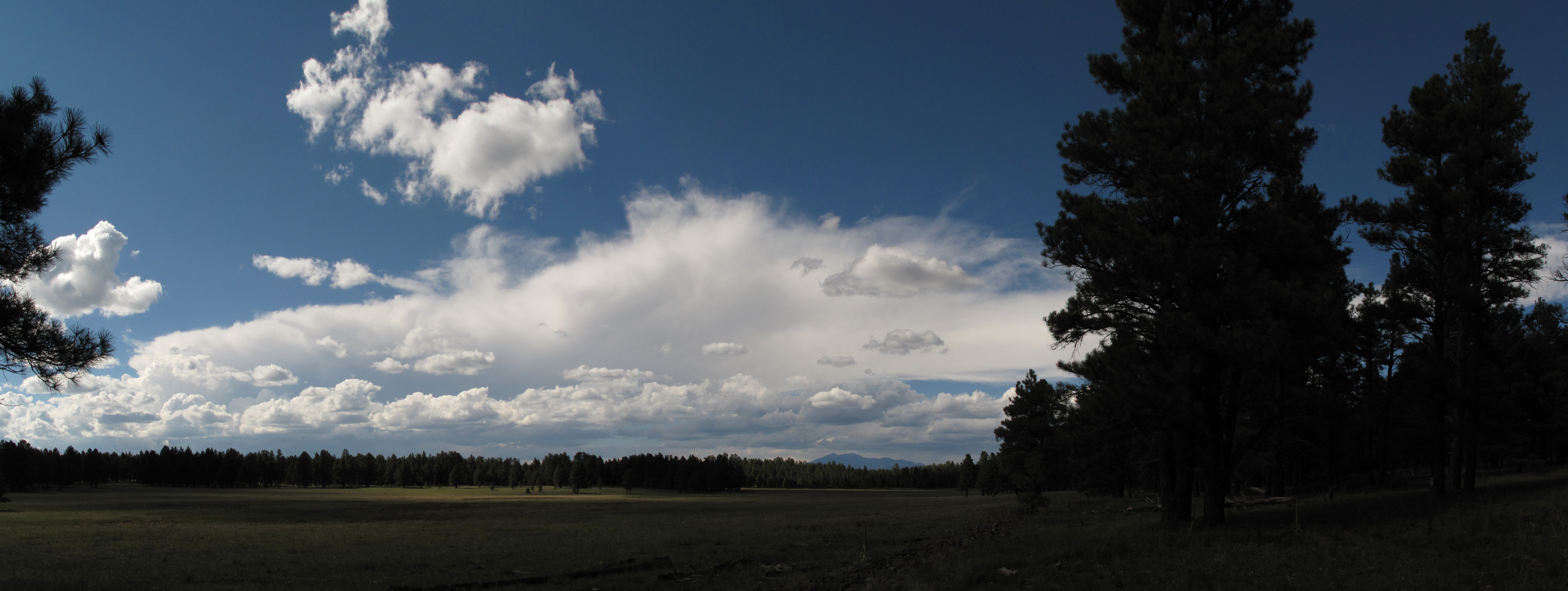 North of Mormon Lake