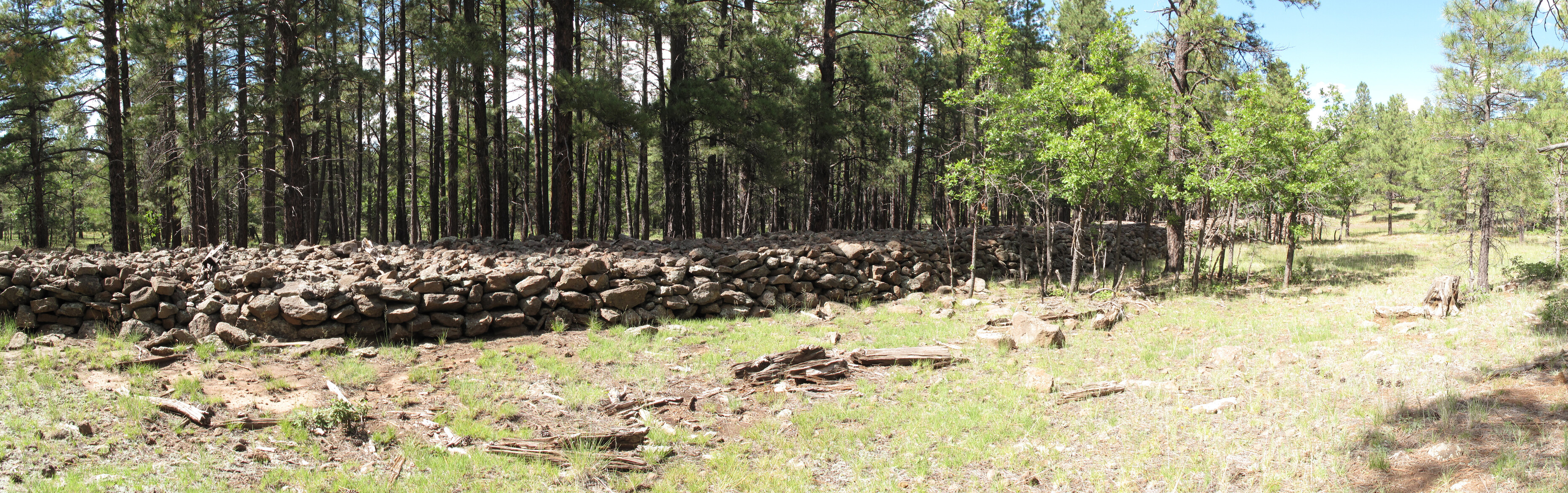 Az Trail, Mormon Lake