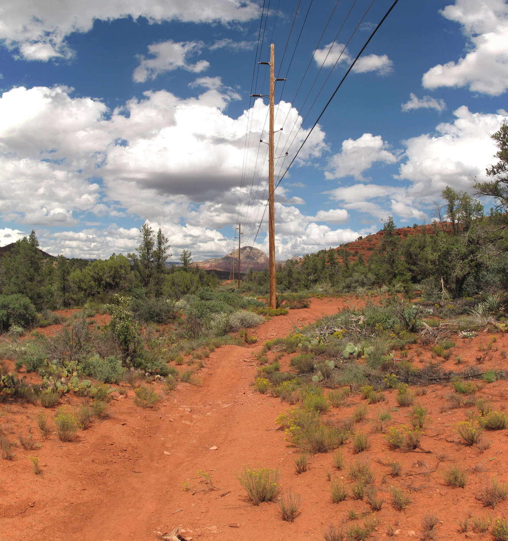 Sedona