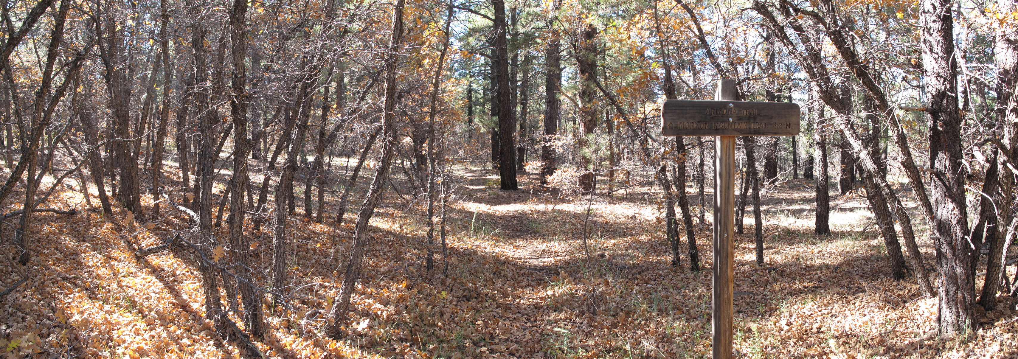 North of Mormon Lake Part 2