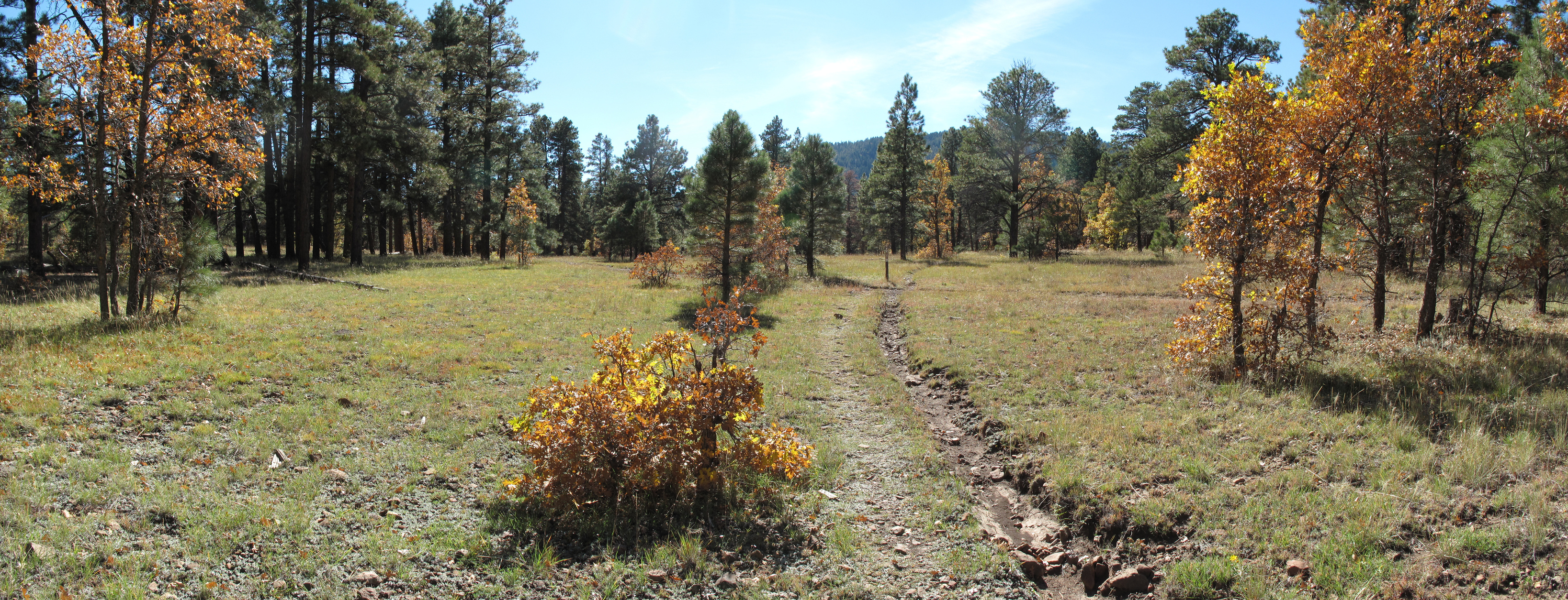 Flagstaff, AzTrail