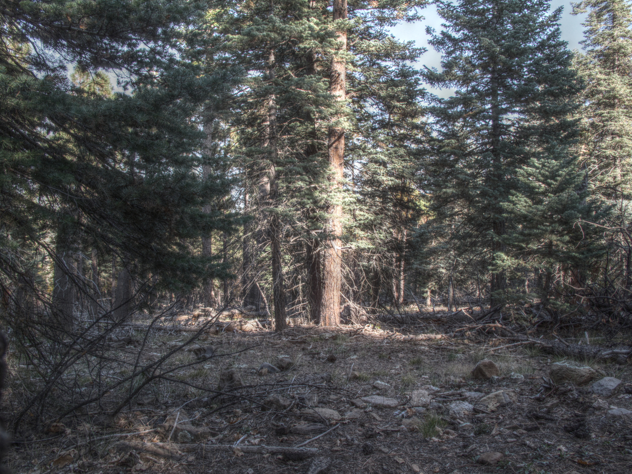 Flagstaff, AzTrail