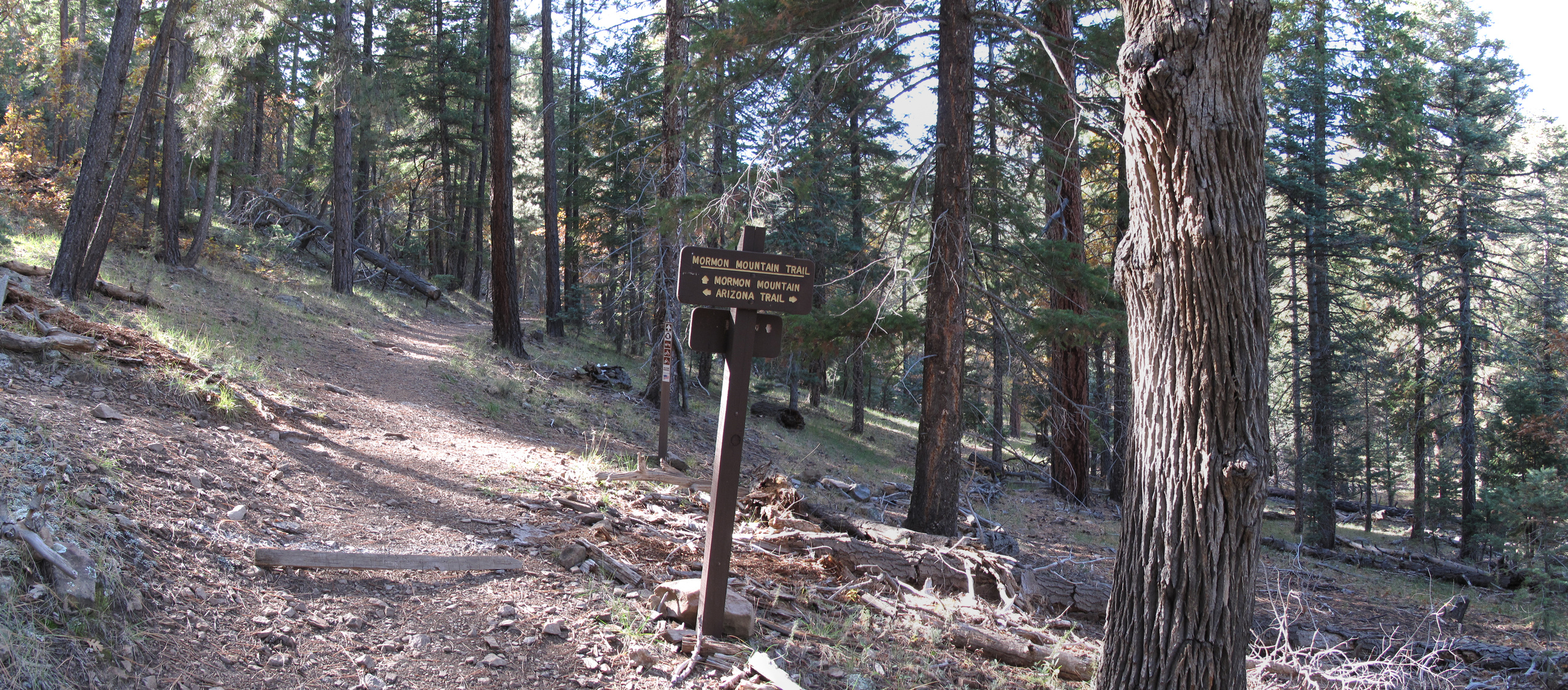 Flagstaff, AzTrail