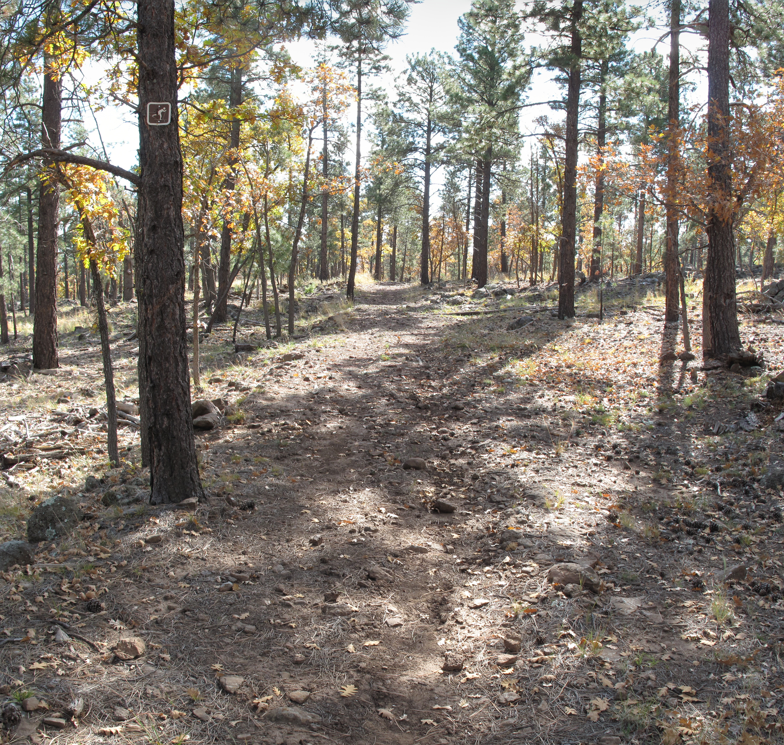 Flagstaff, AzTrail