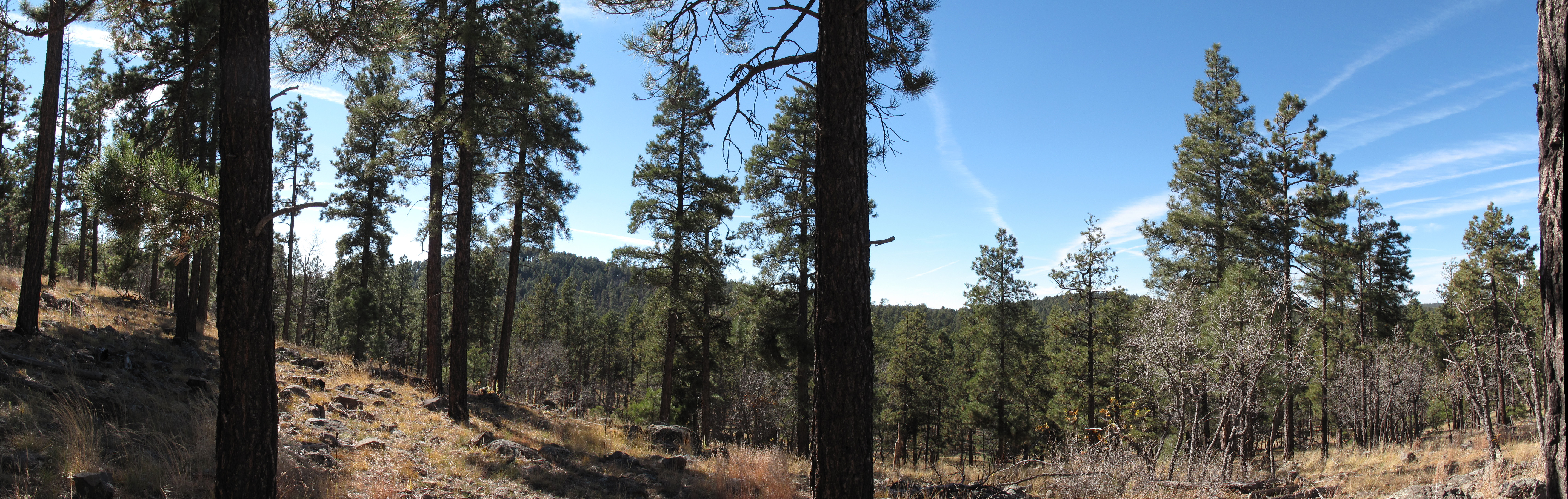 Arizona Trail near Grade tank