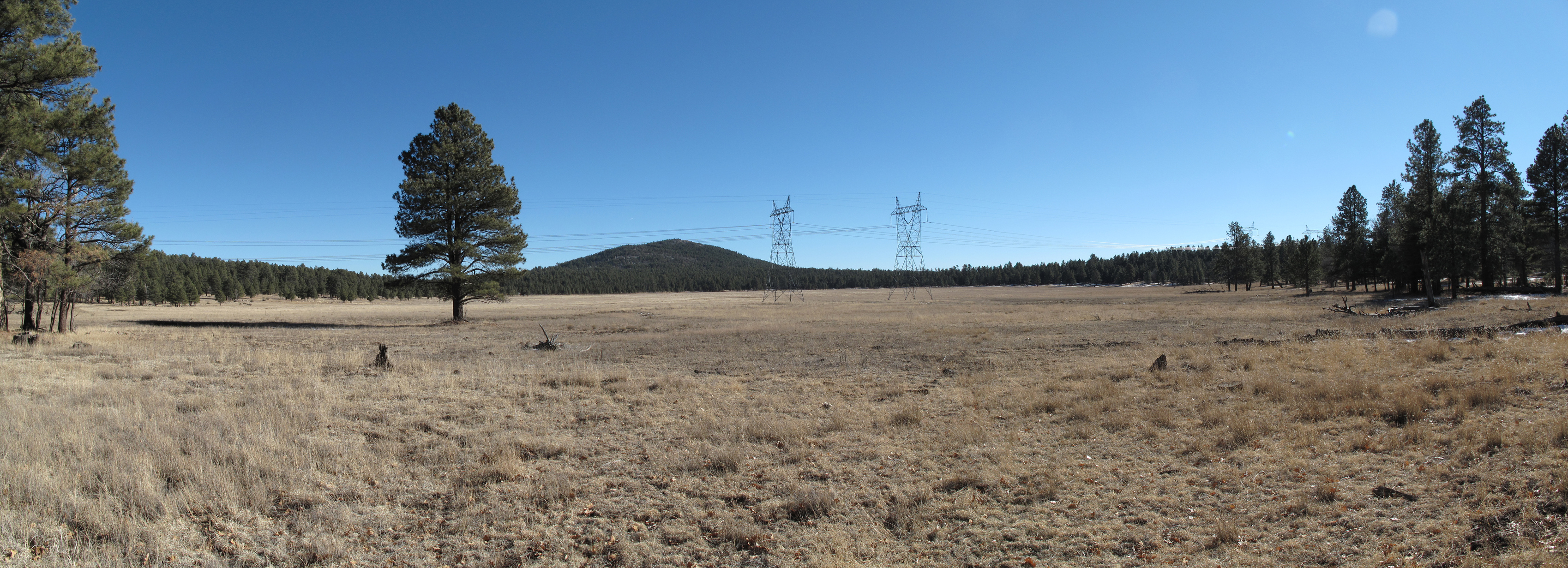 Arizona trail near FR 294