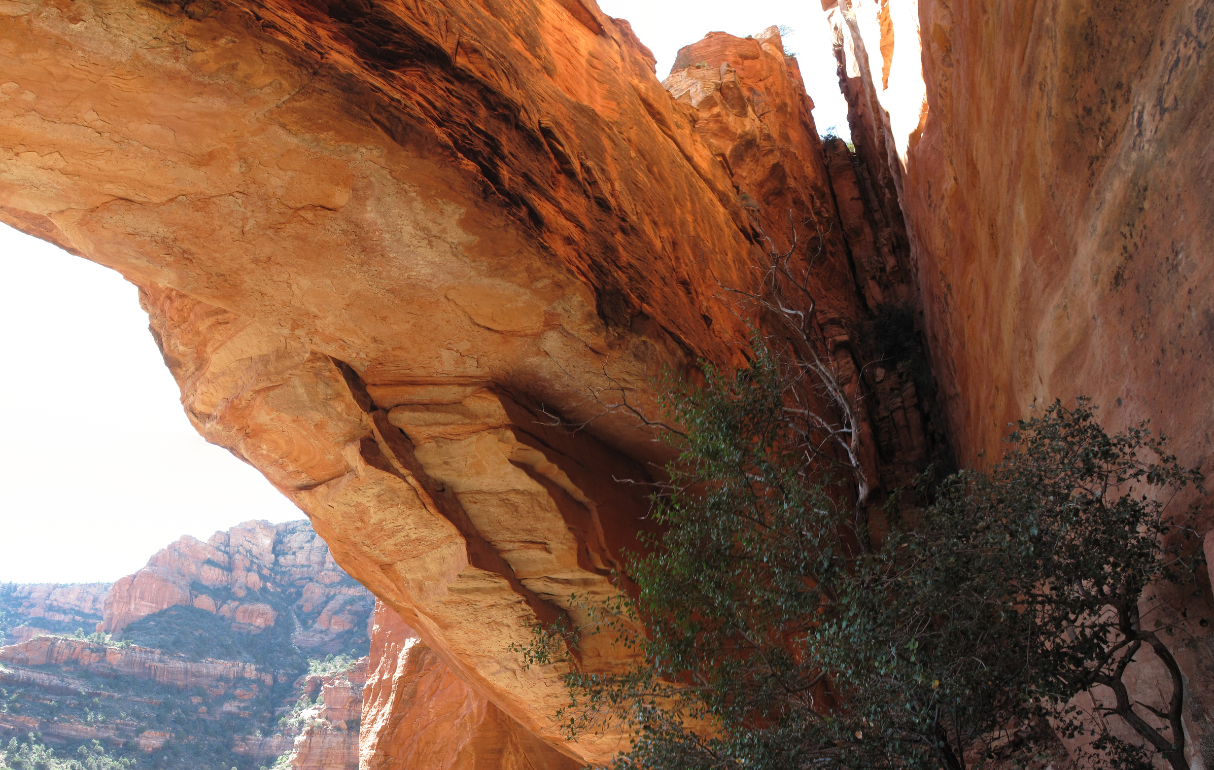 Sedona