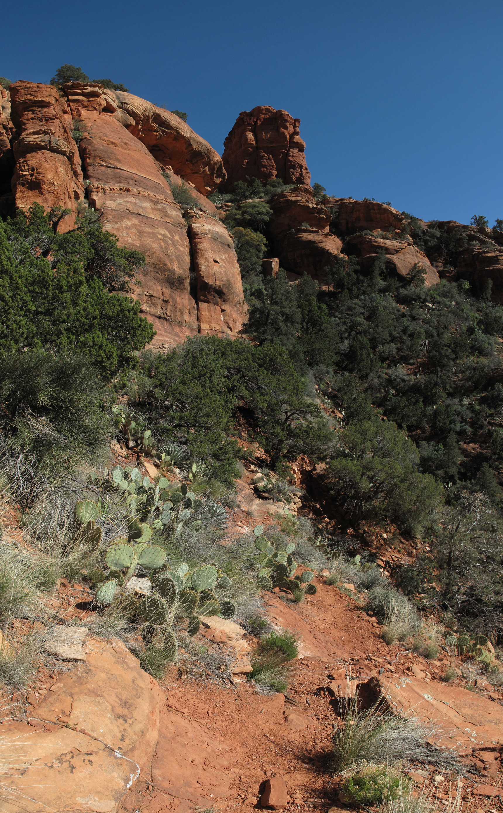 Sedona