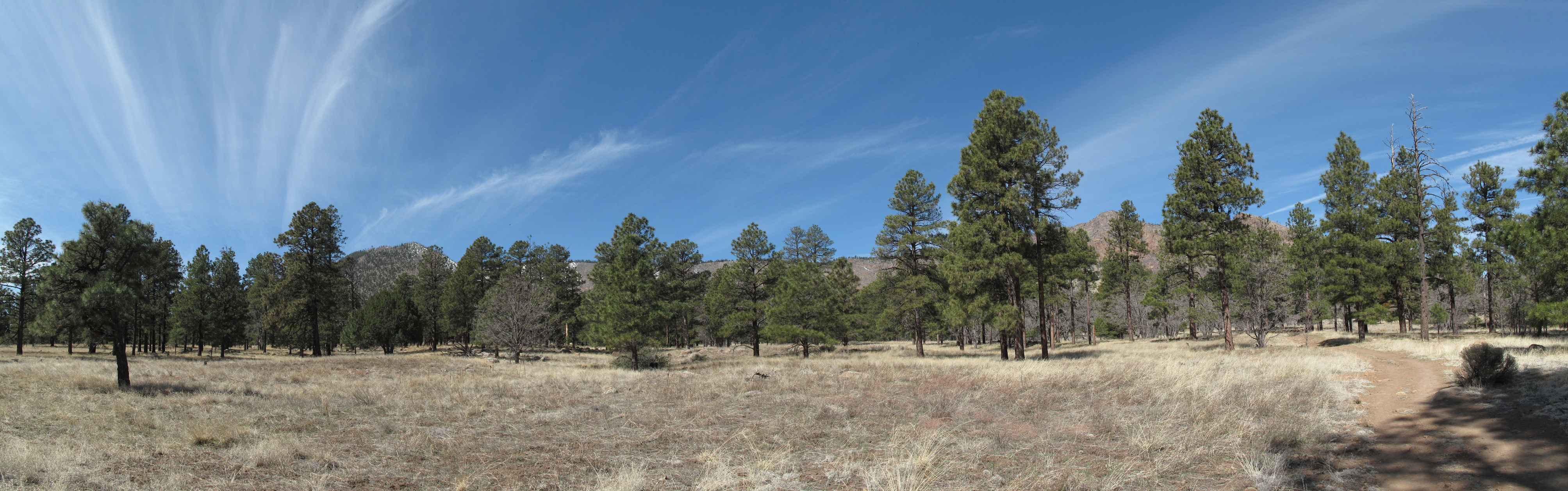 Flagstaff, AzTrail