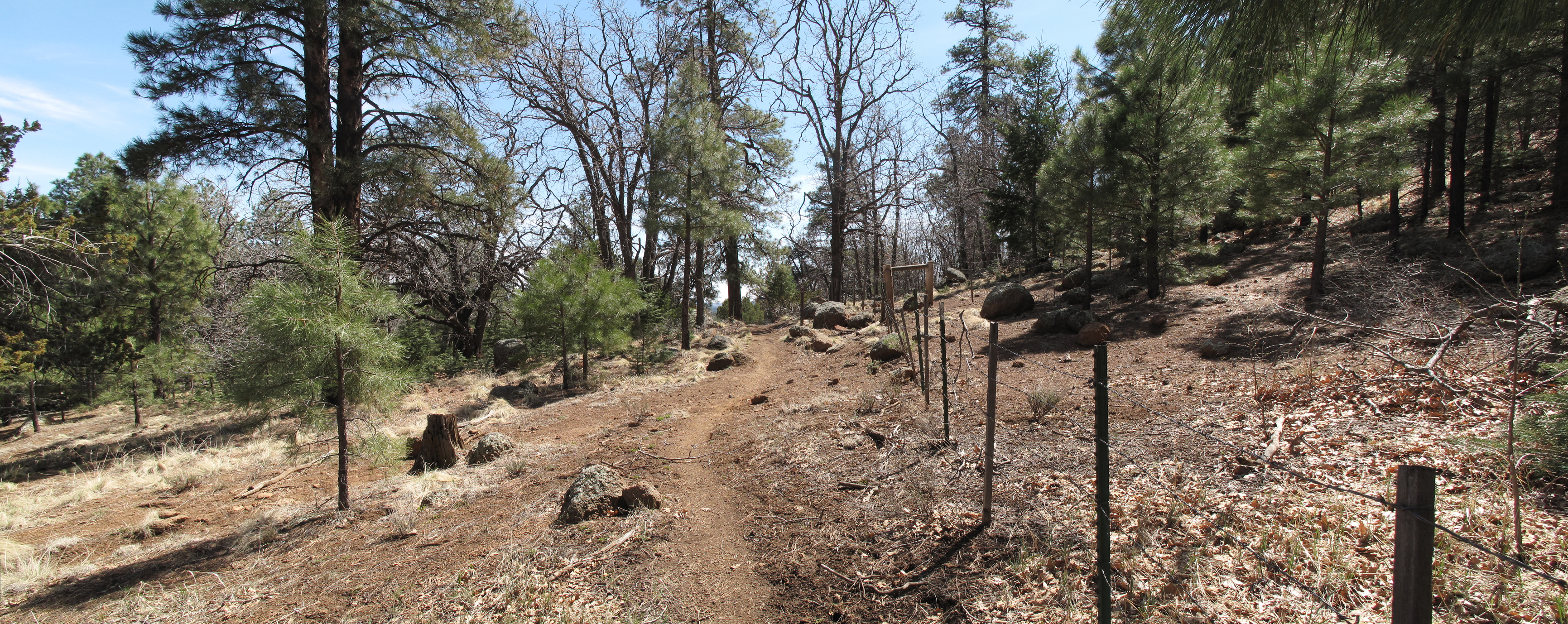 Flagstaff, AzTrail