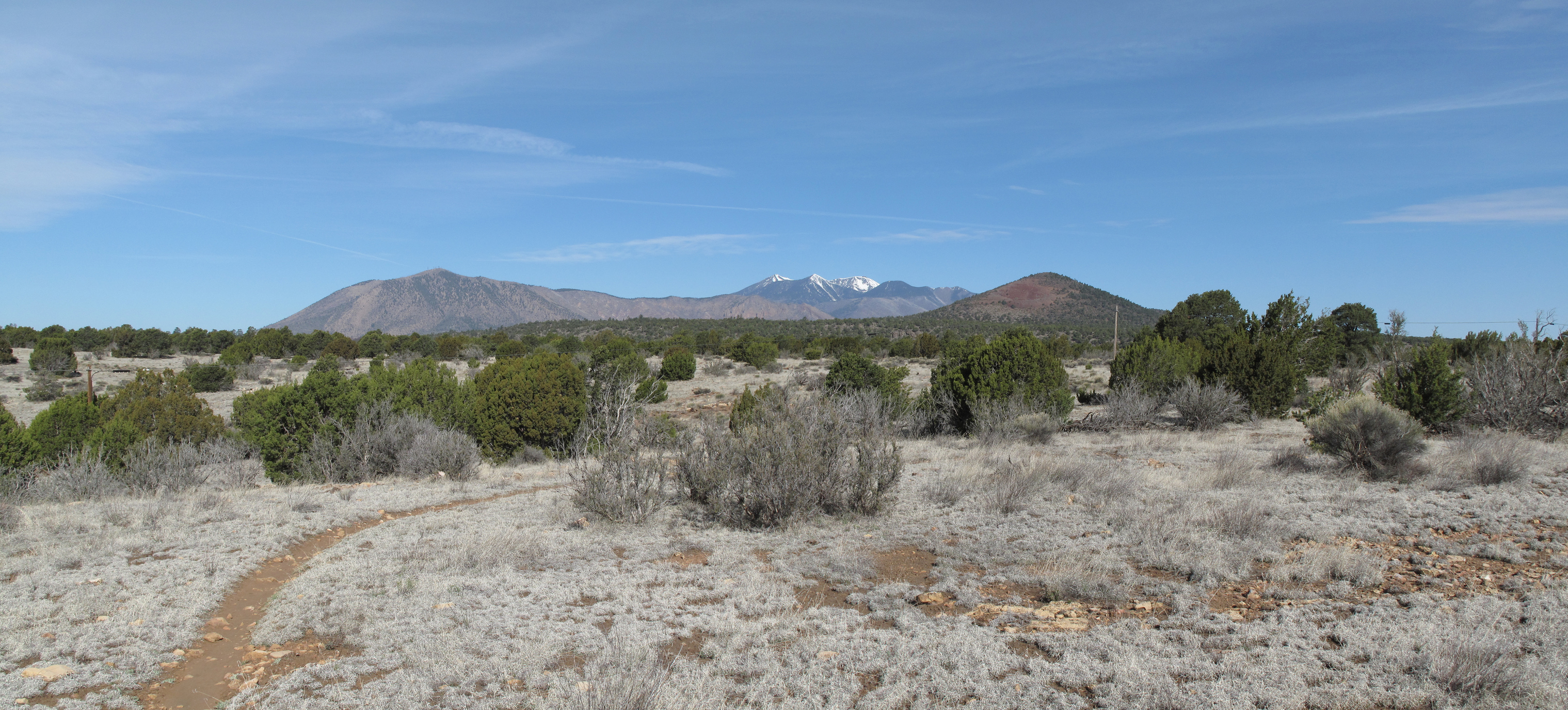 Az Trail near Turkey and Sheep Hills