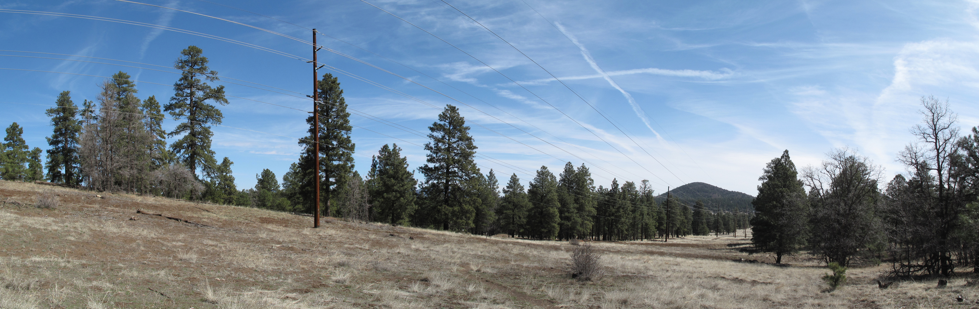 Flagstaff, AzTrail