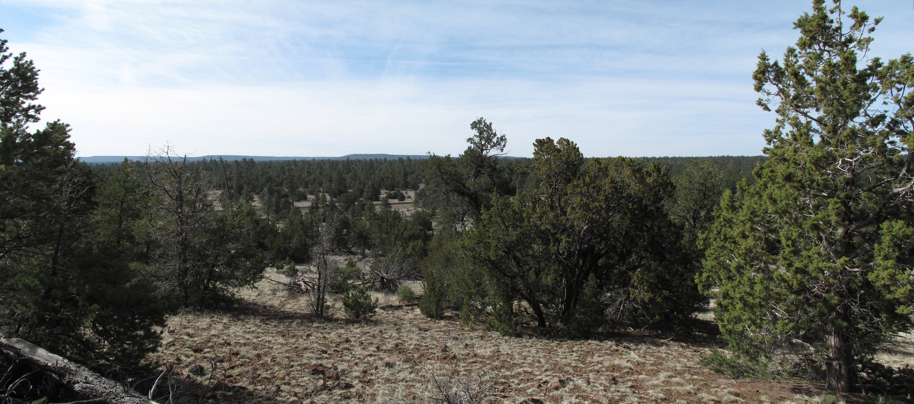 Flagstaff, AzTrail