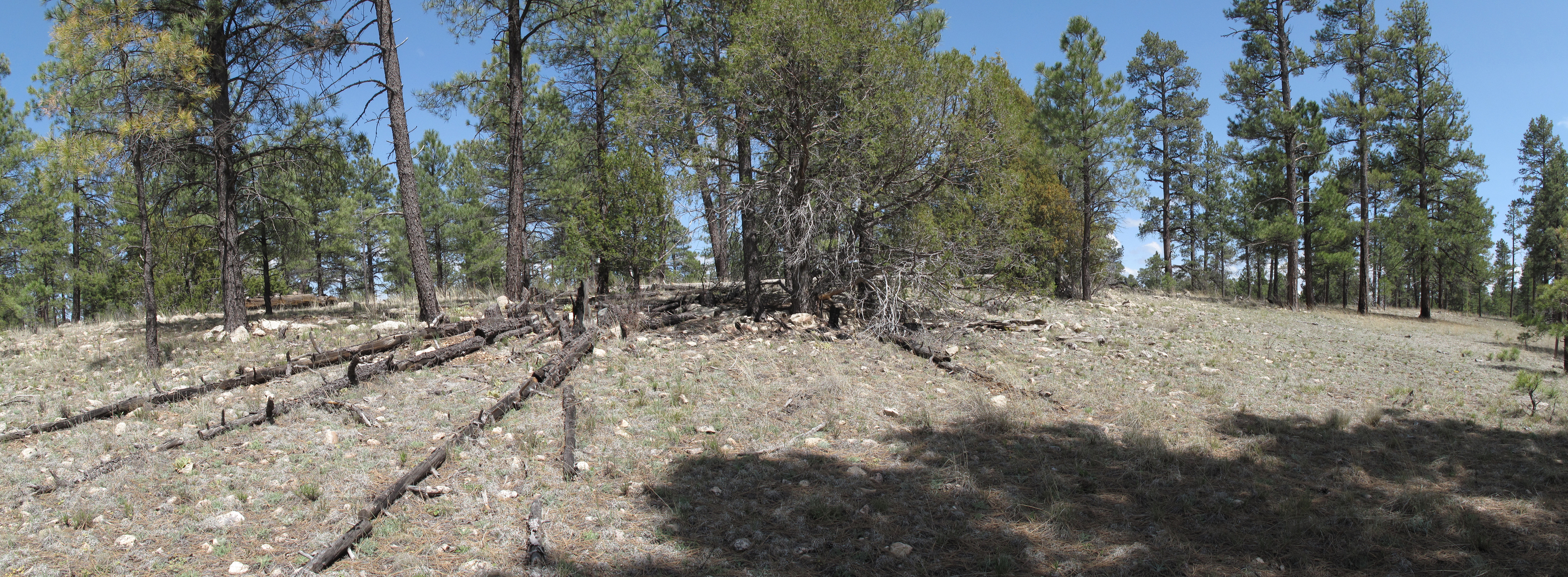 Az Trail near Clint’s Well