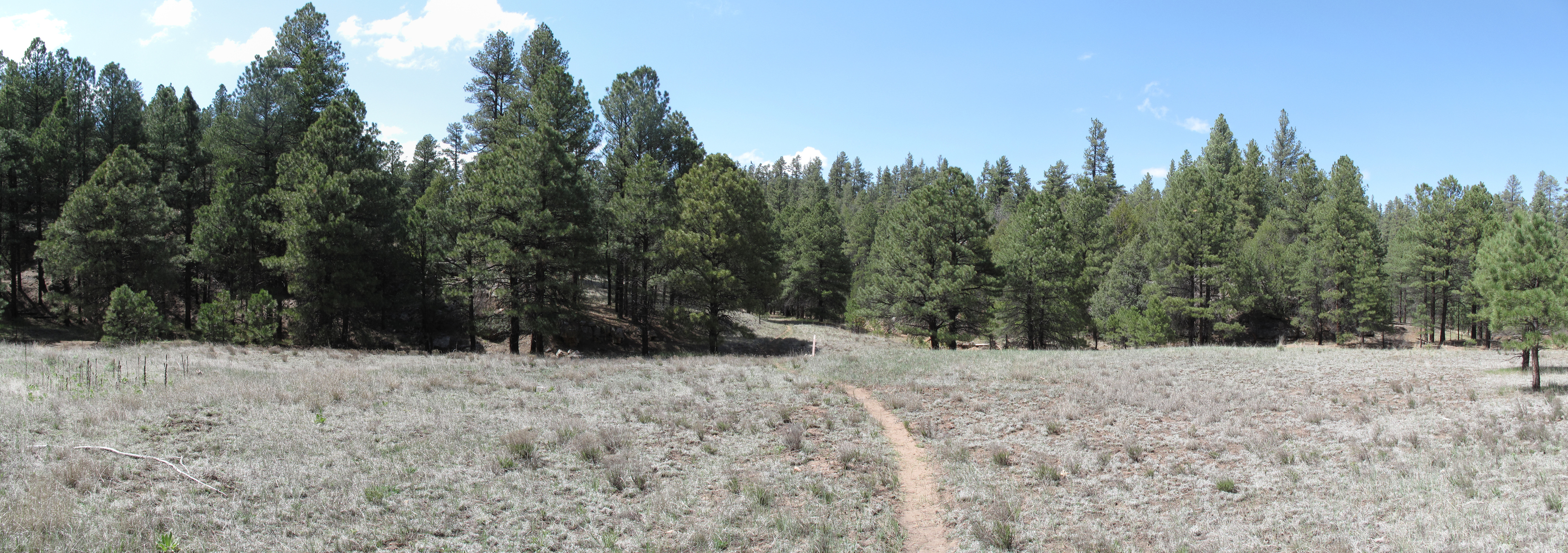 Coconino, AzTrail