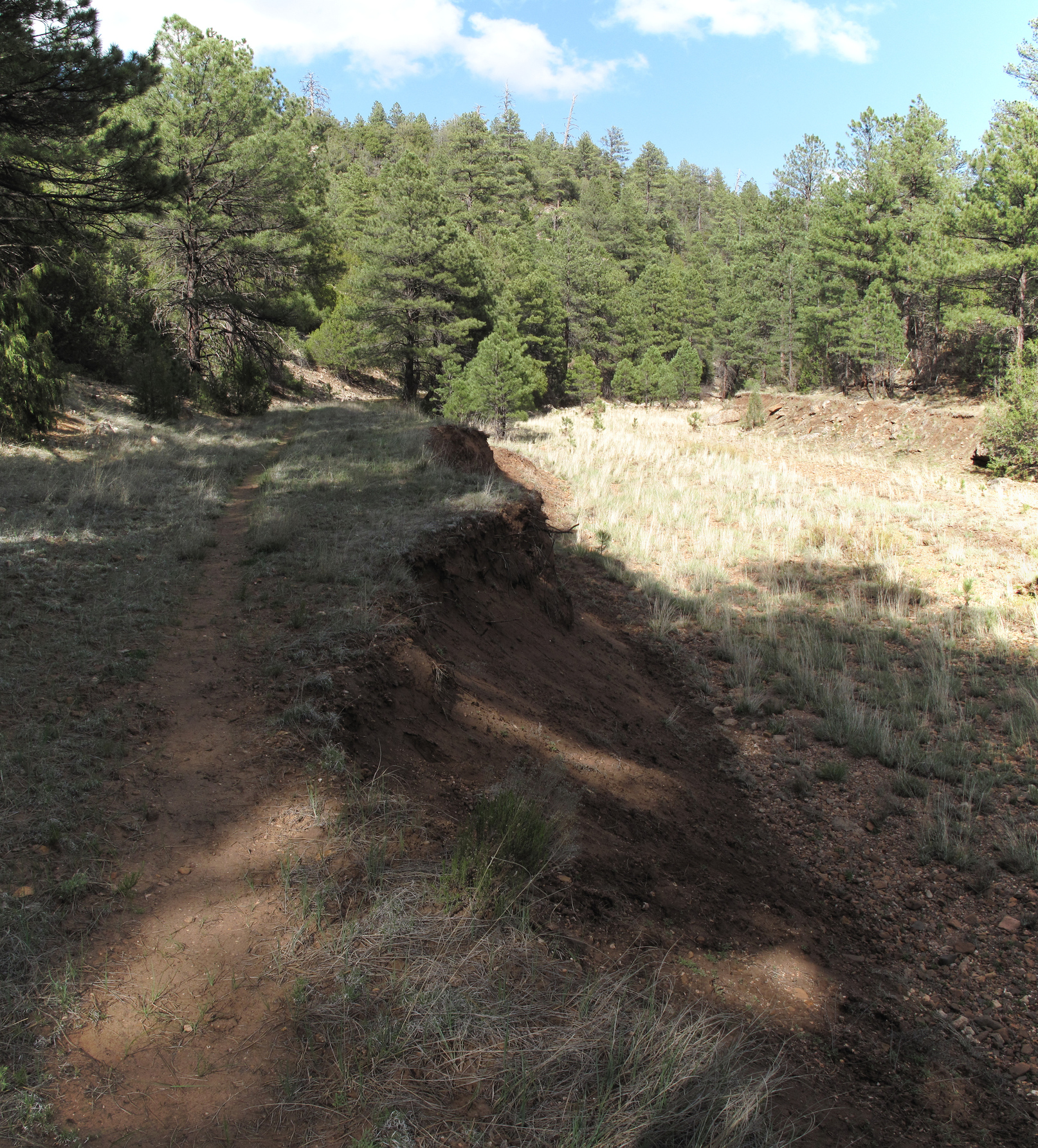 Coconino, AzTrail