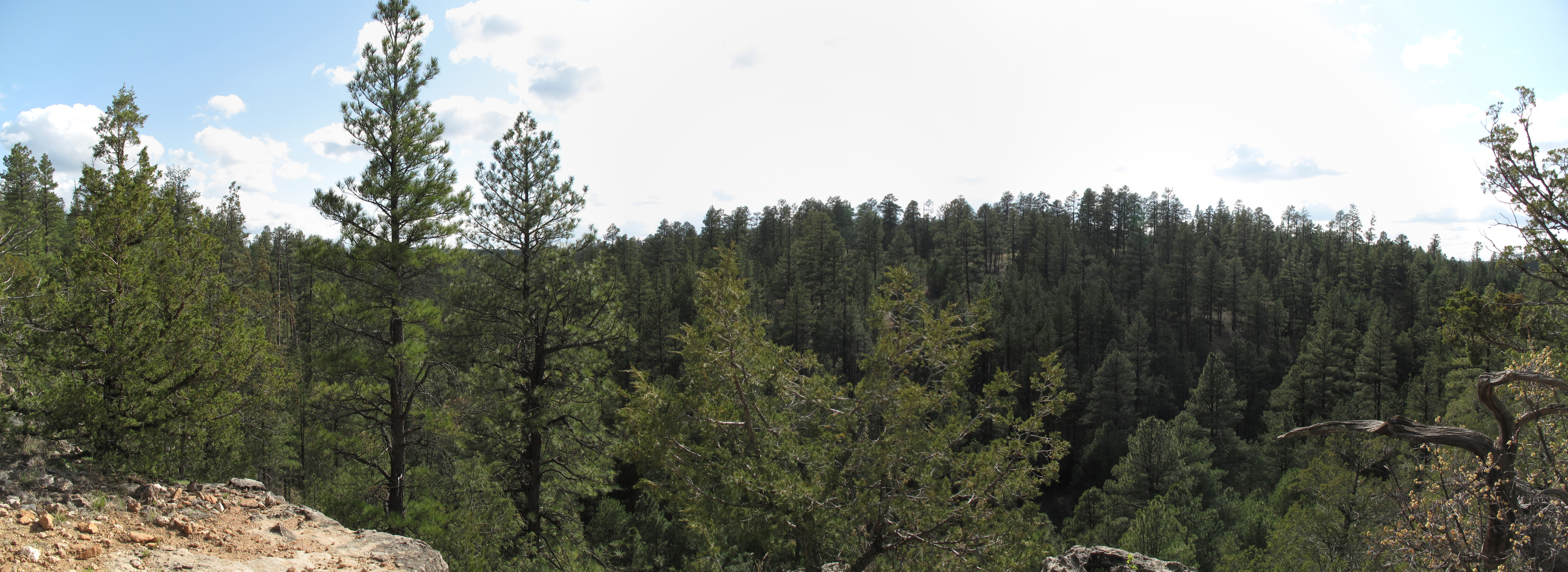 Coconino, AzTrail