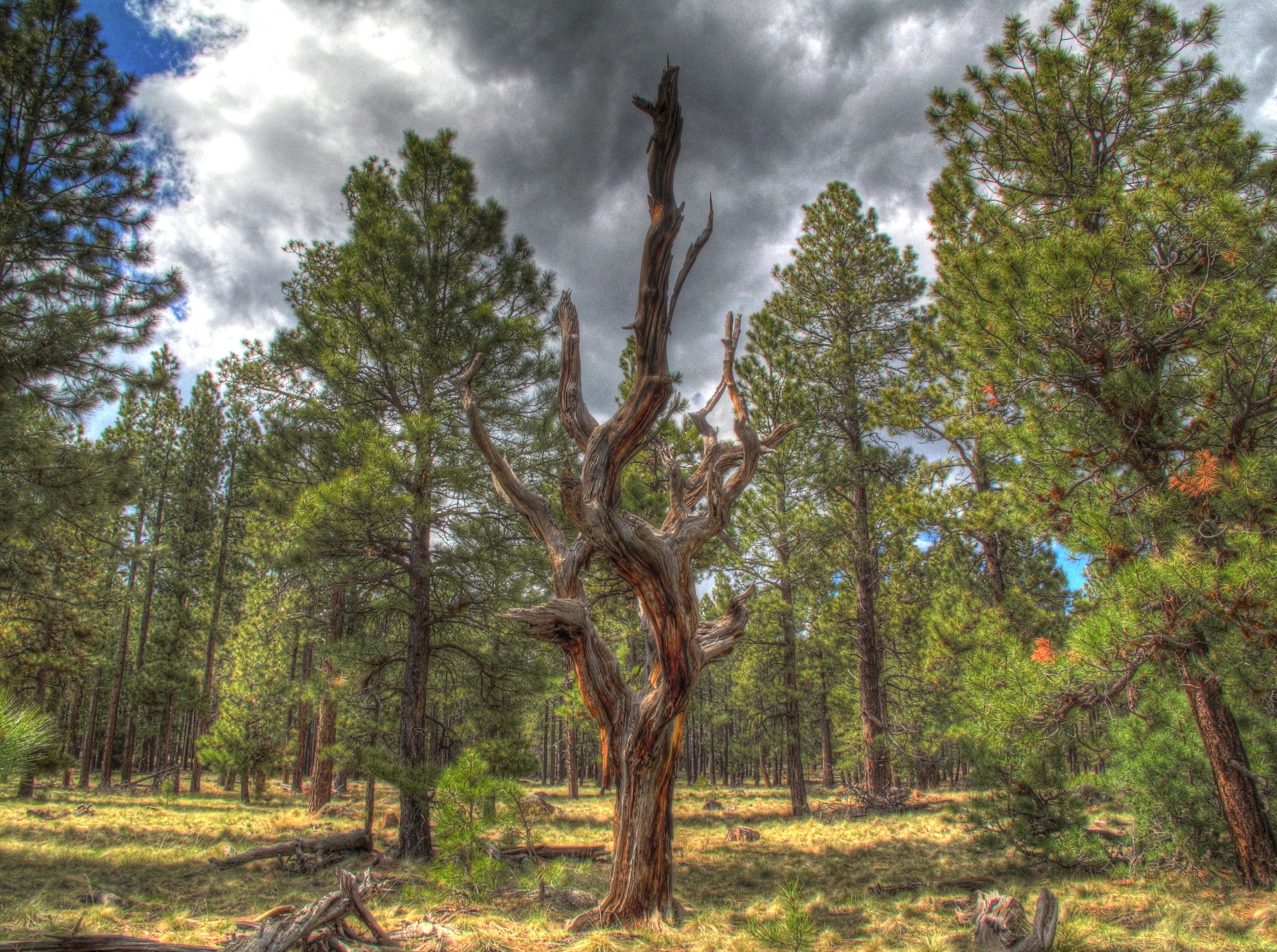 Az Trail near Schultz tank