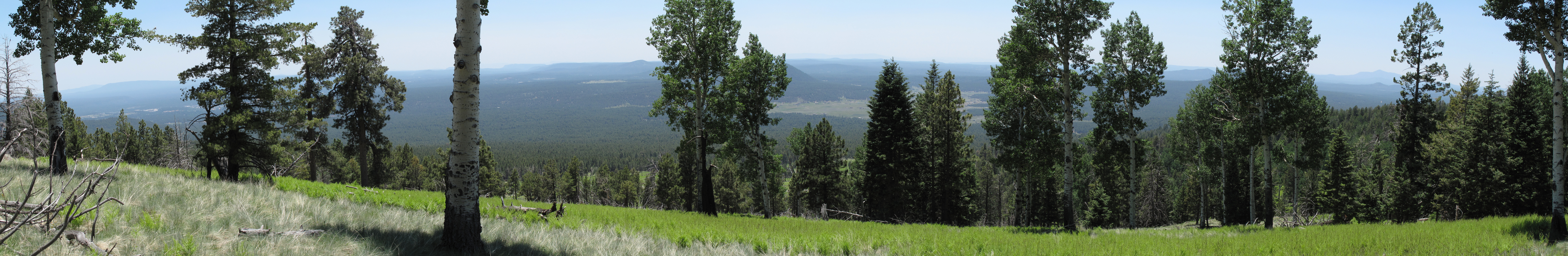Flagstaff, Kachina