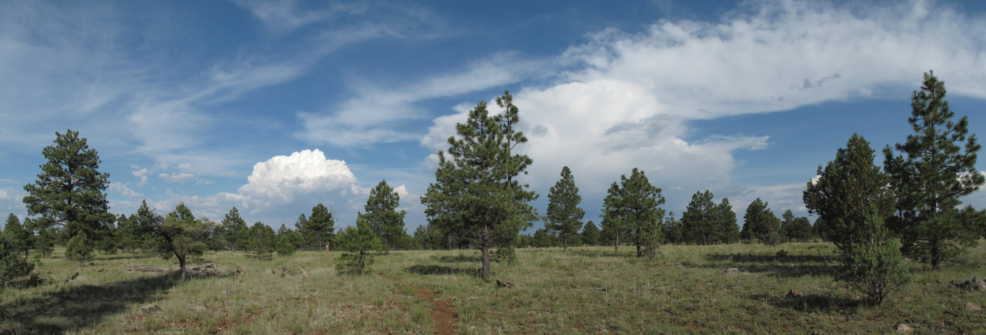 Az Trail North of Clints Well