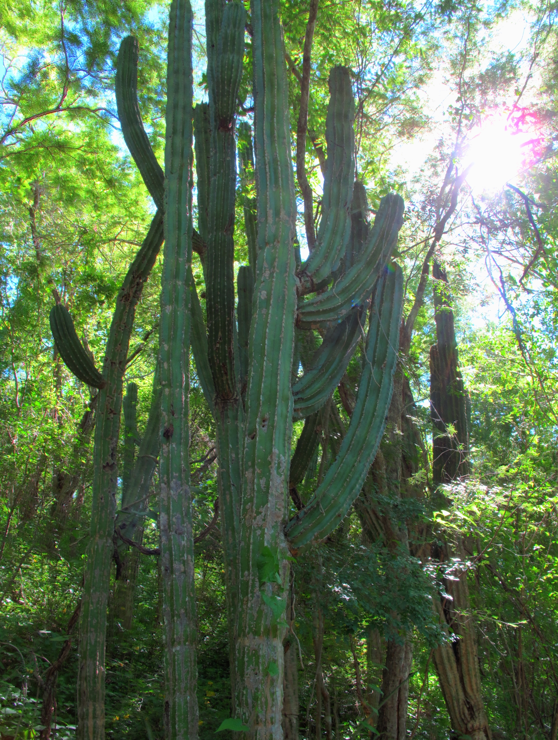 Travel, Mexico