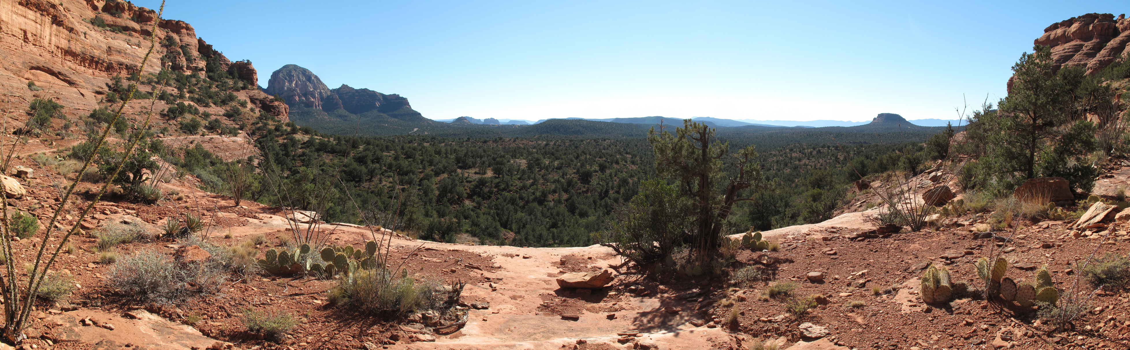 Sedona, Mescal