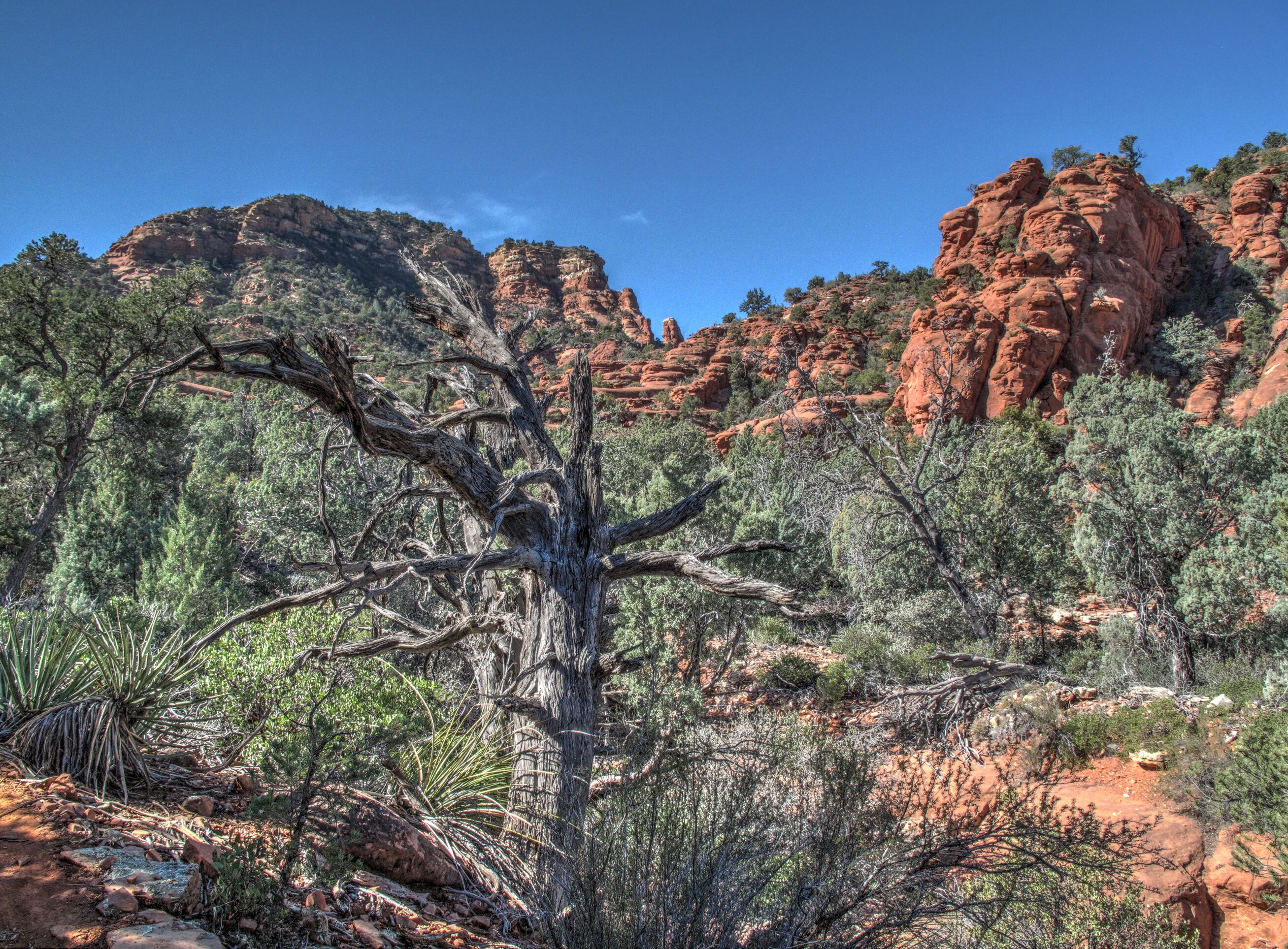 Sedona