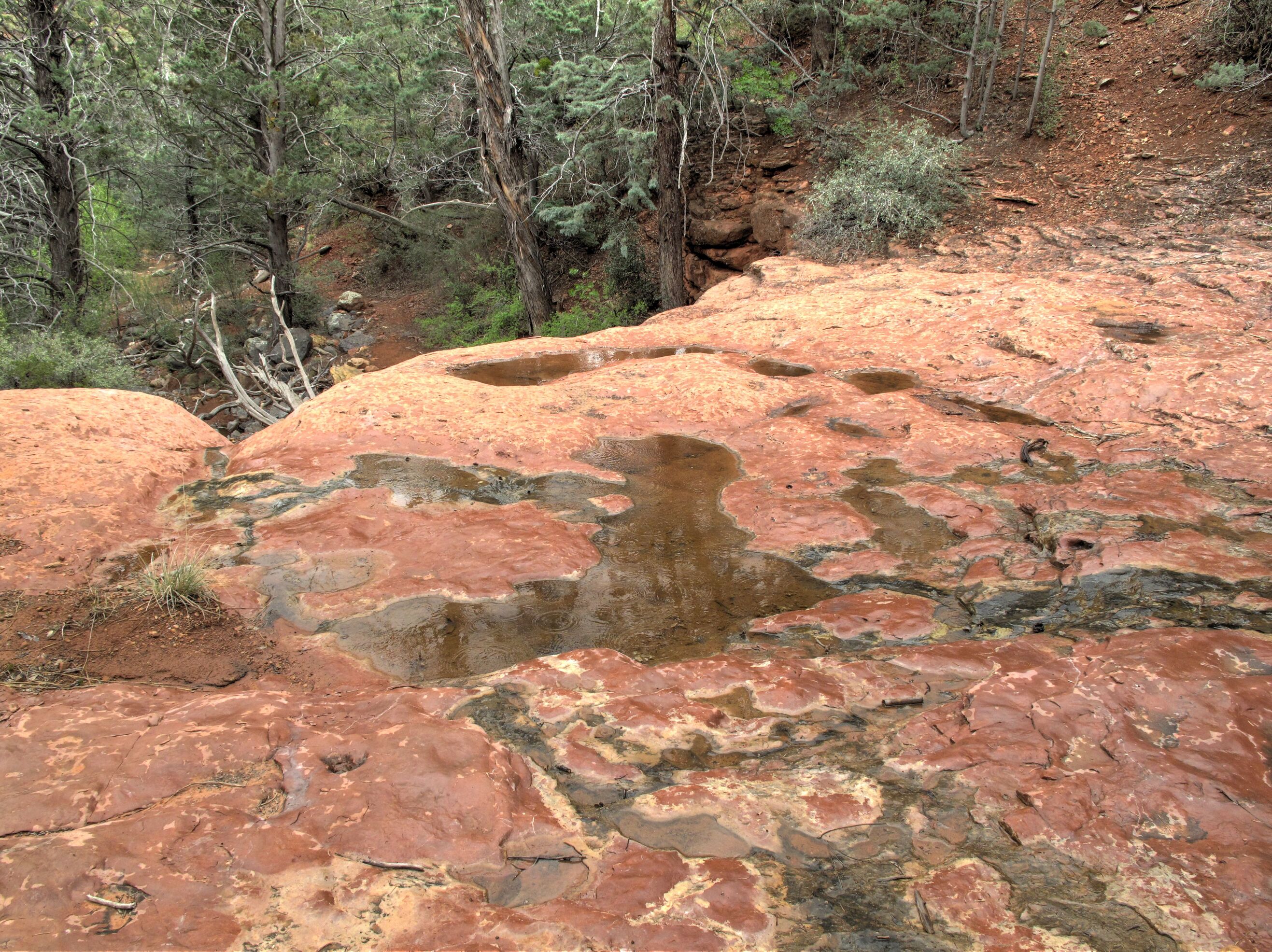 Sedona