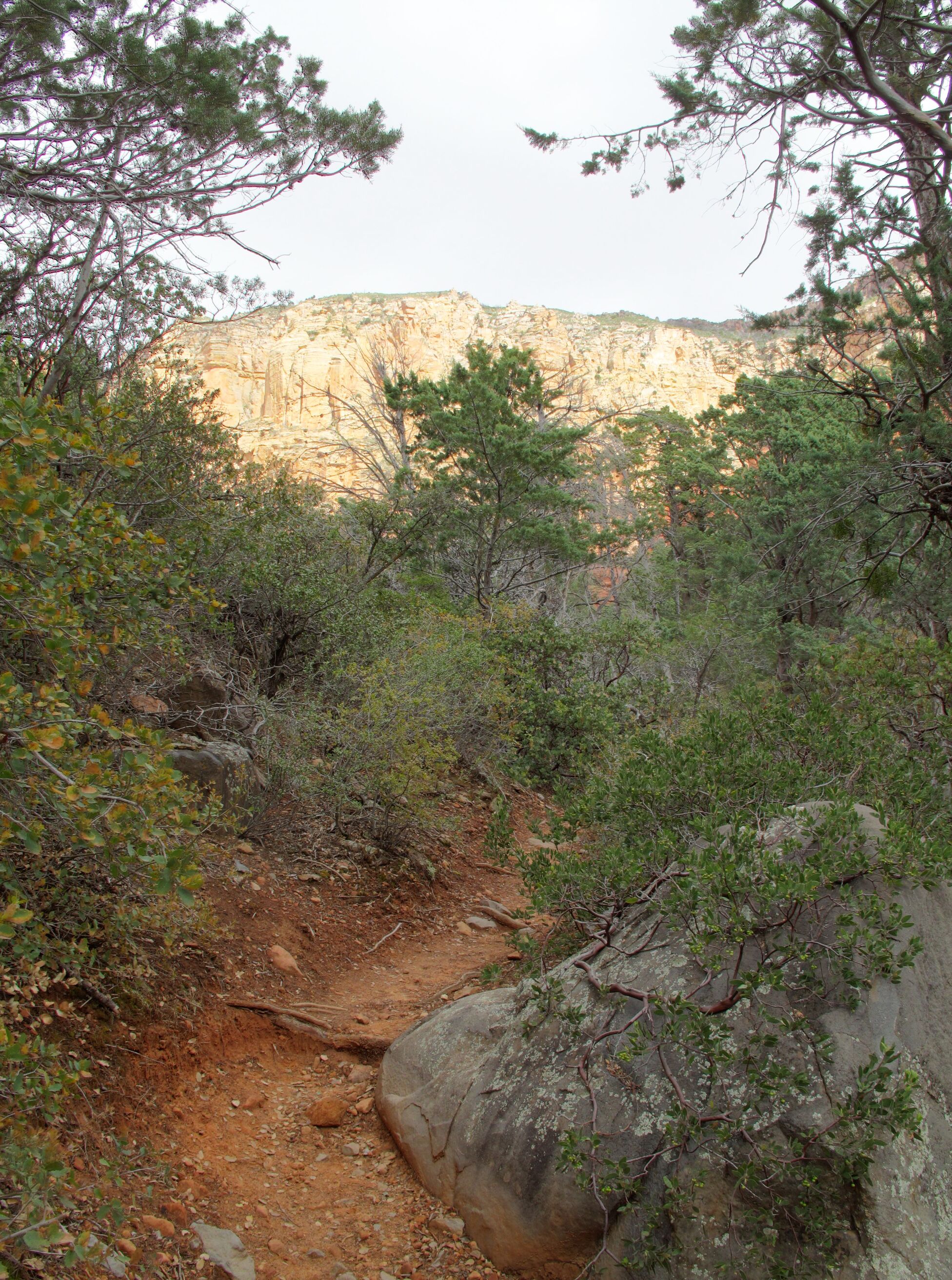 Sedona