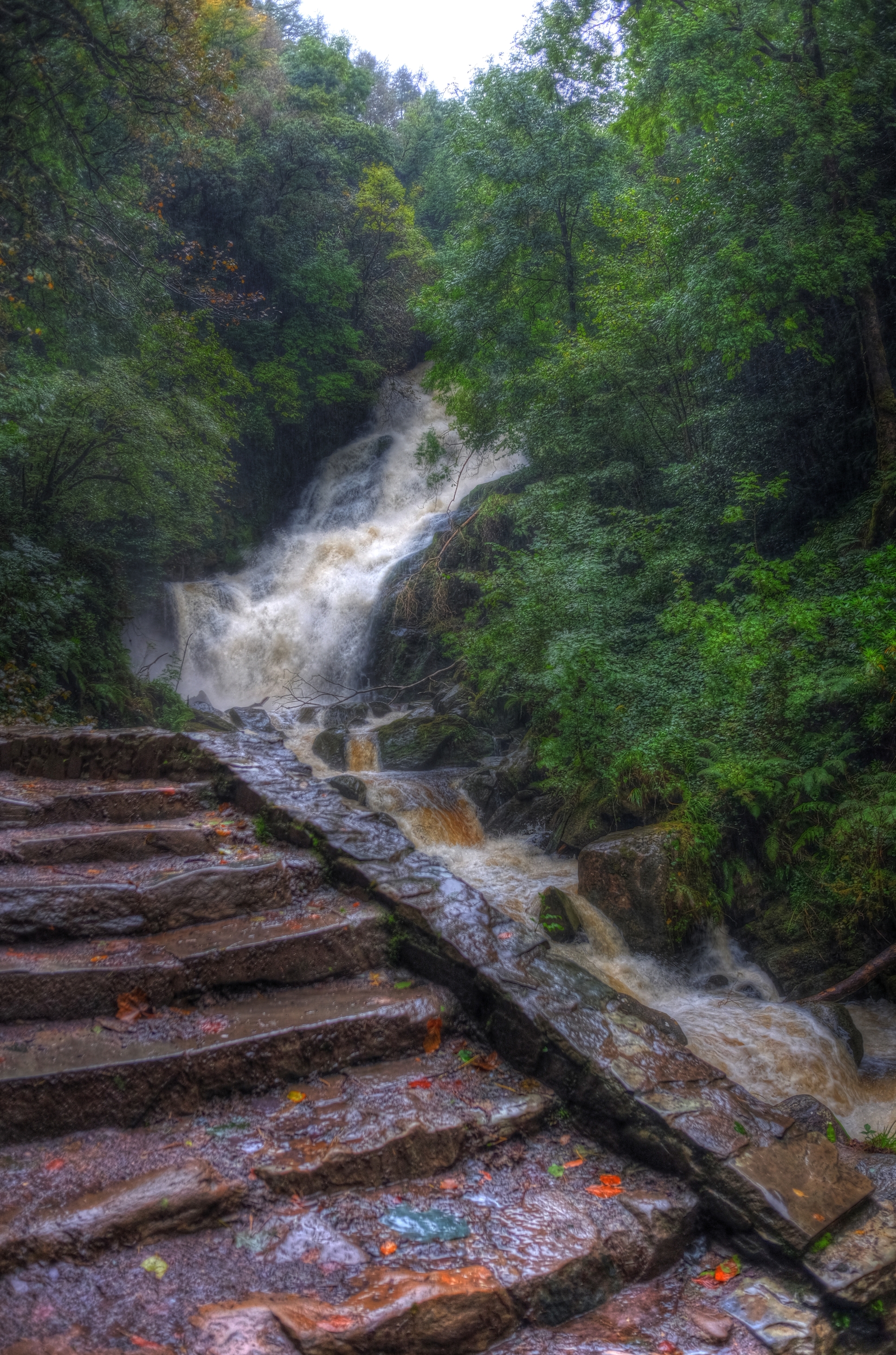 Travel, Ireland