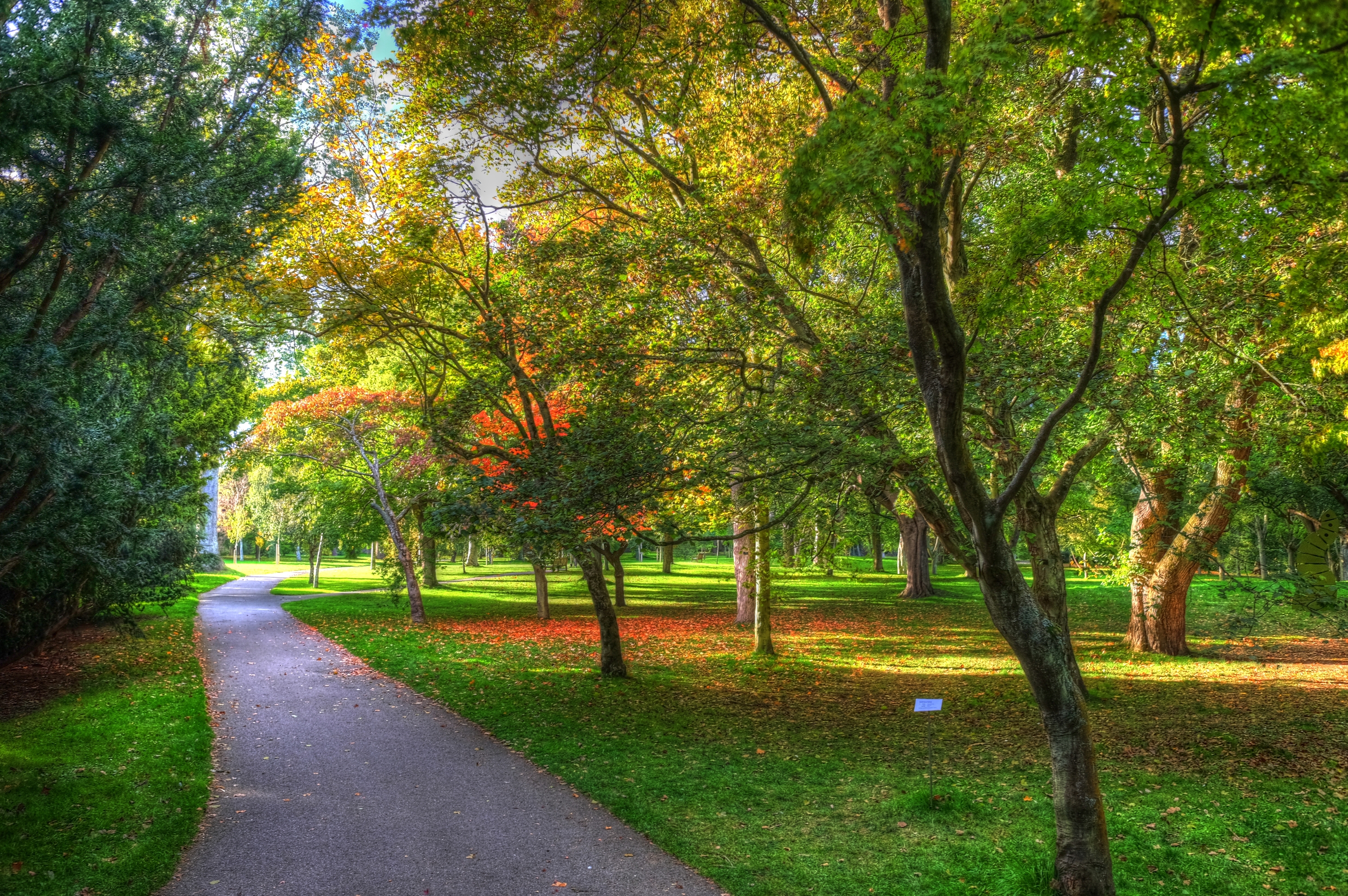 Travel, Ireland