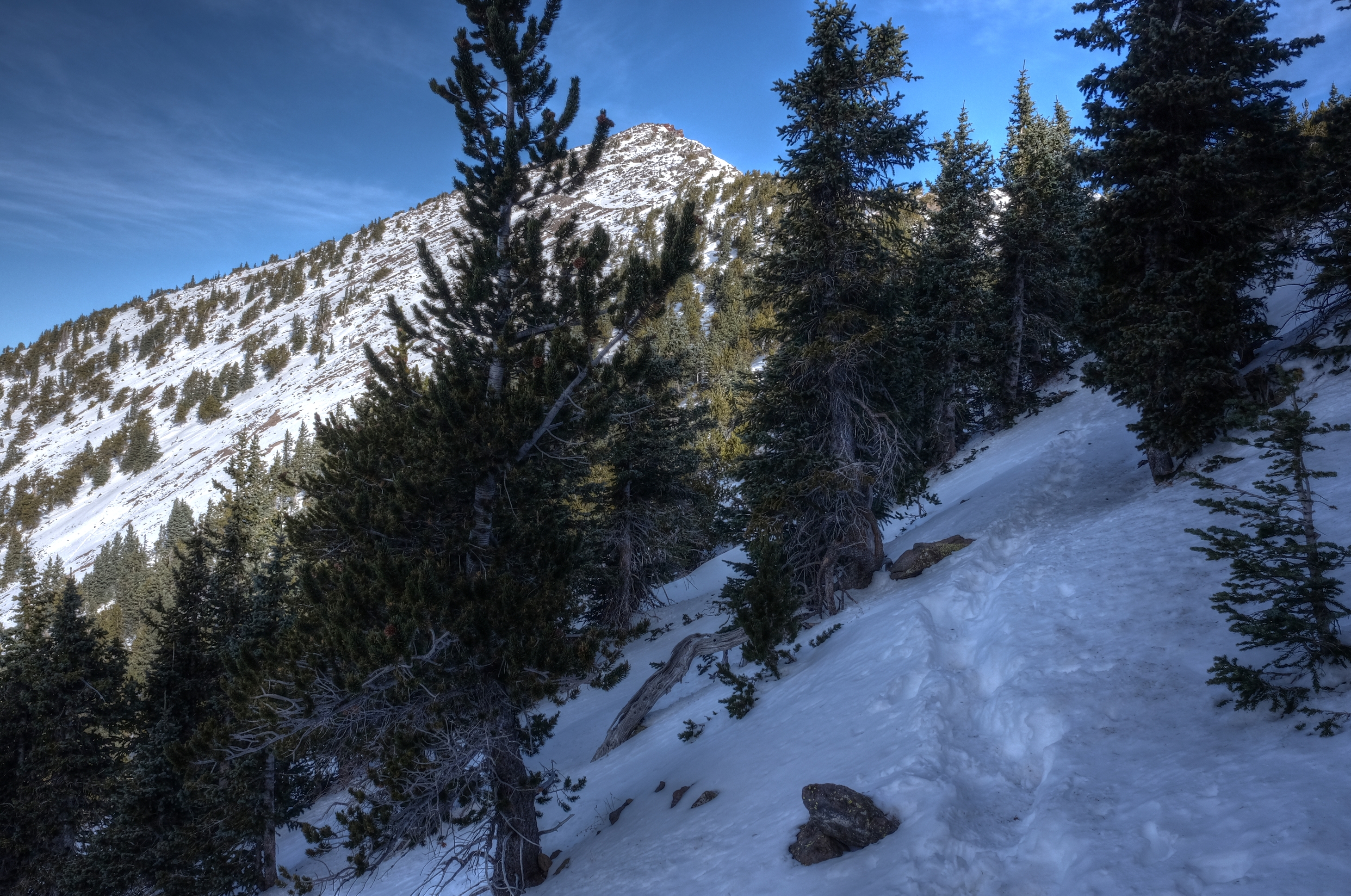 Flagstaff, Humphreys