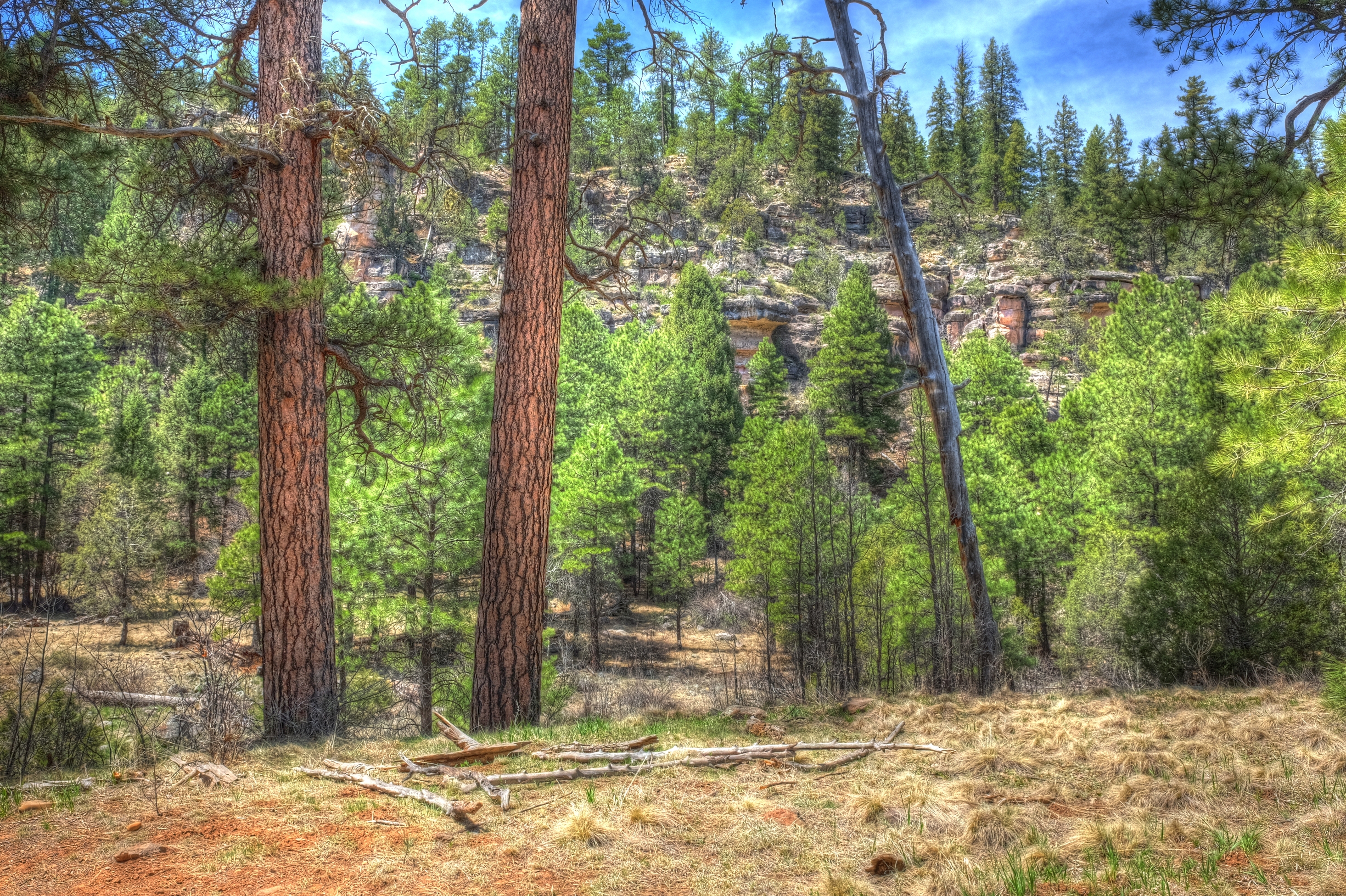 Flagstaff, Sandy&rsquo;s Canyon