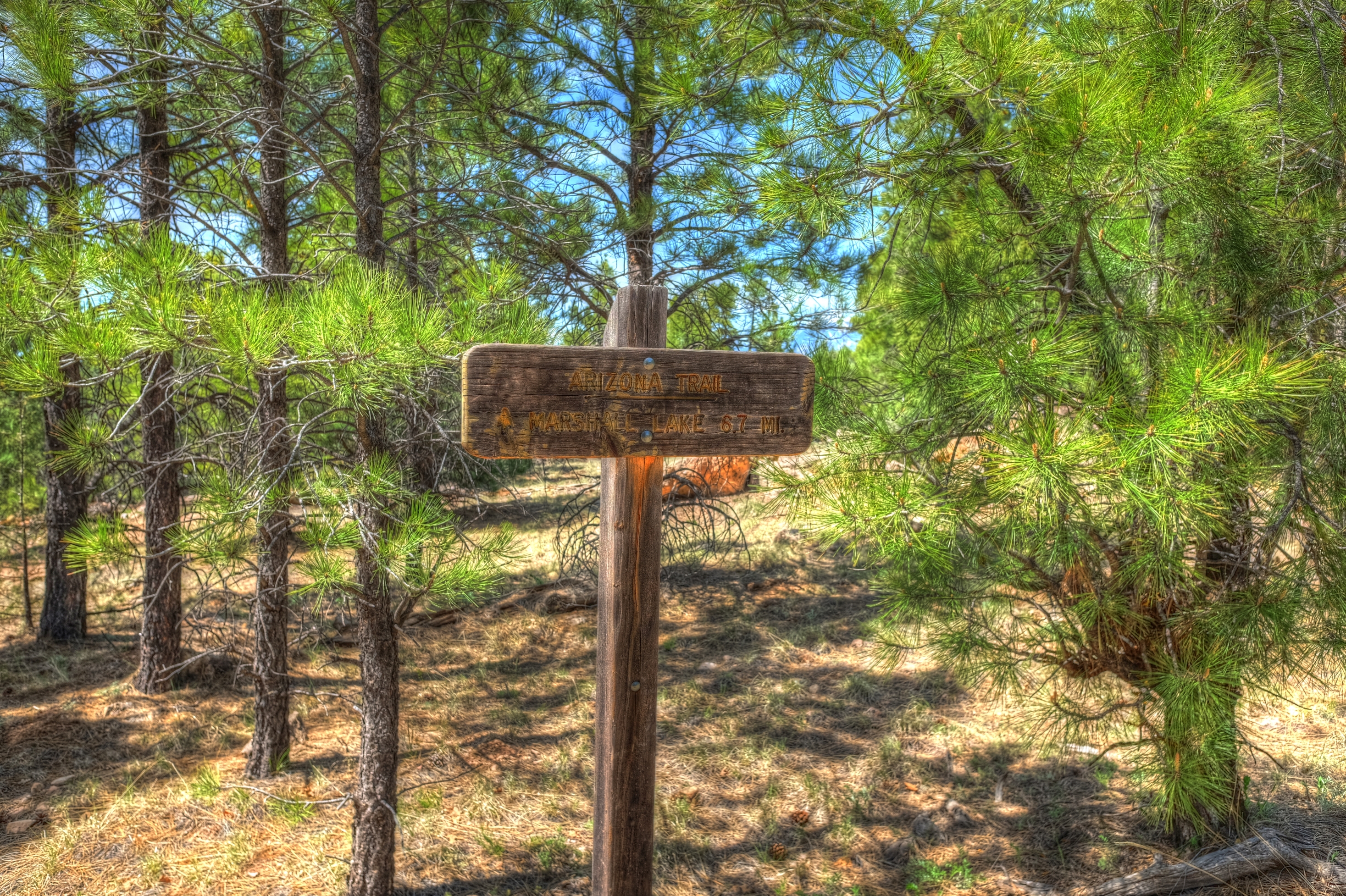 Flagstaff, Sandy&rsquo;s Canyon