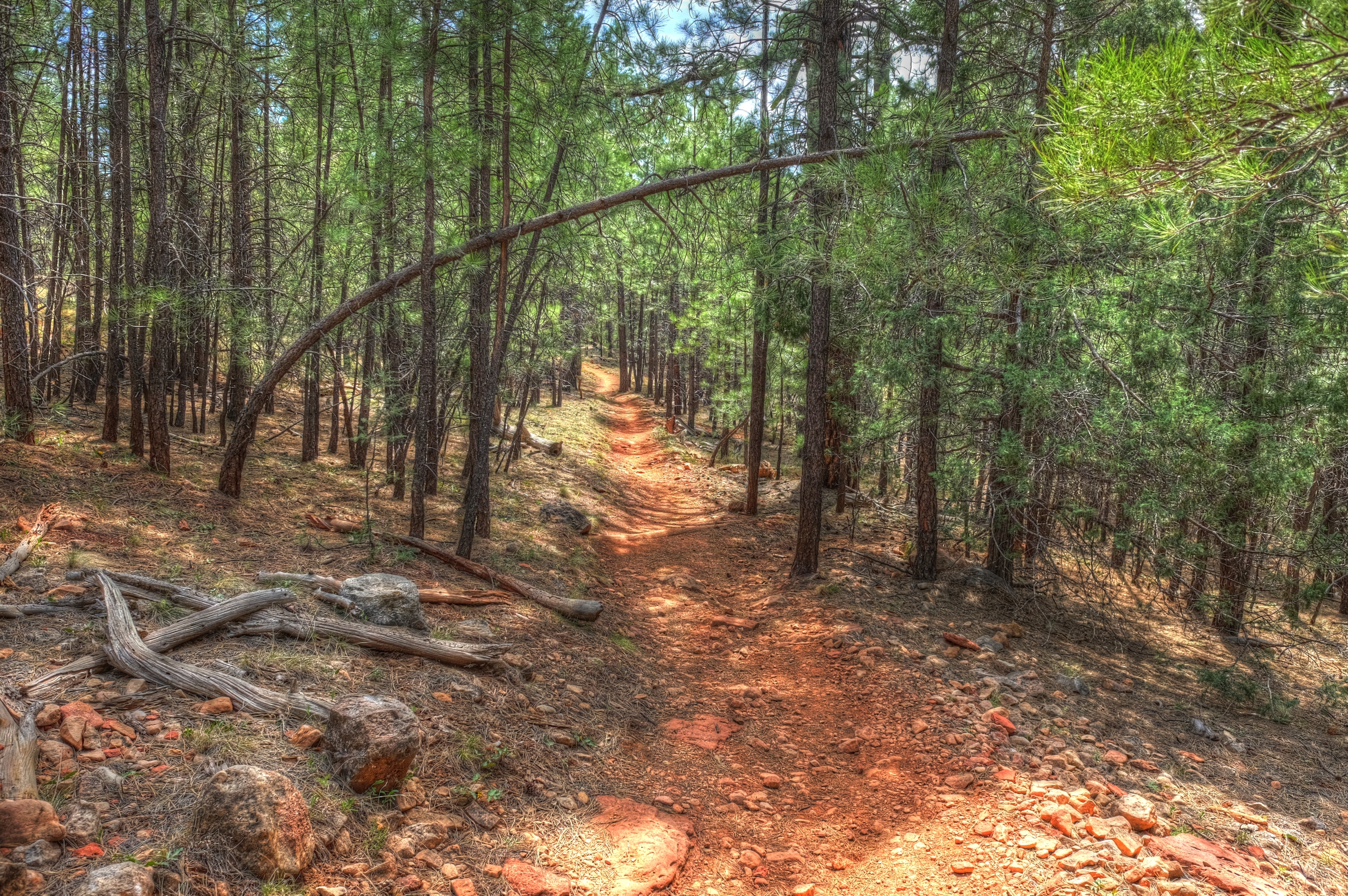 Flagstaff, Sandy&rsquo;s Canyon