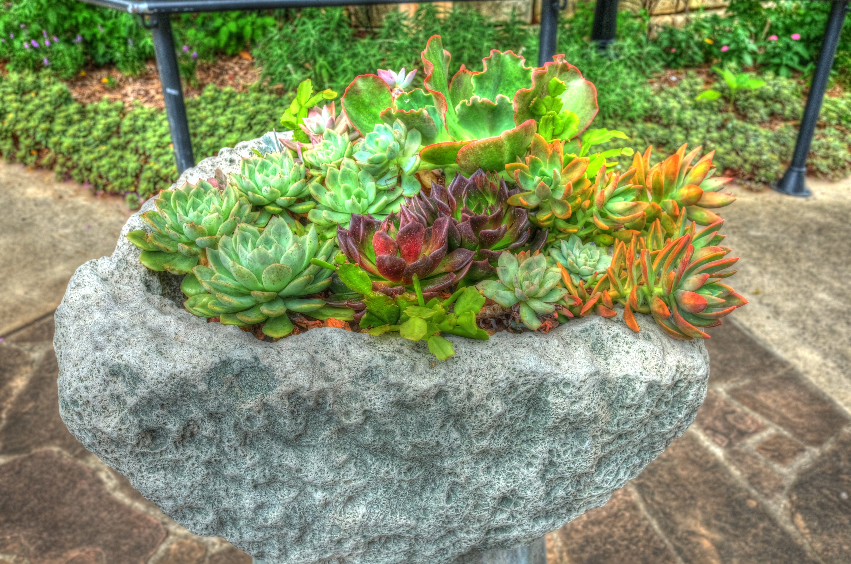 Travel, San Antonio