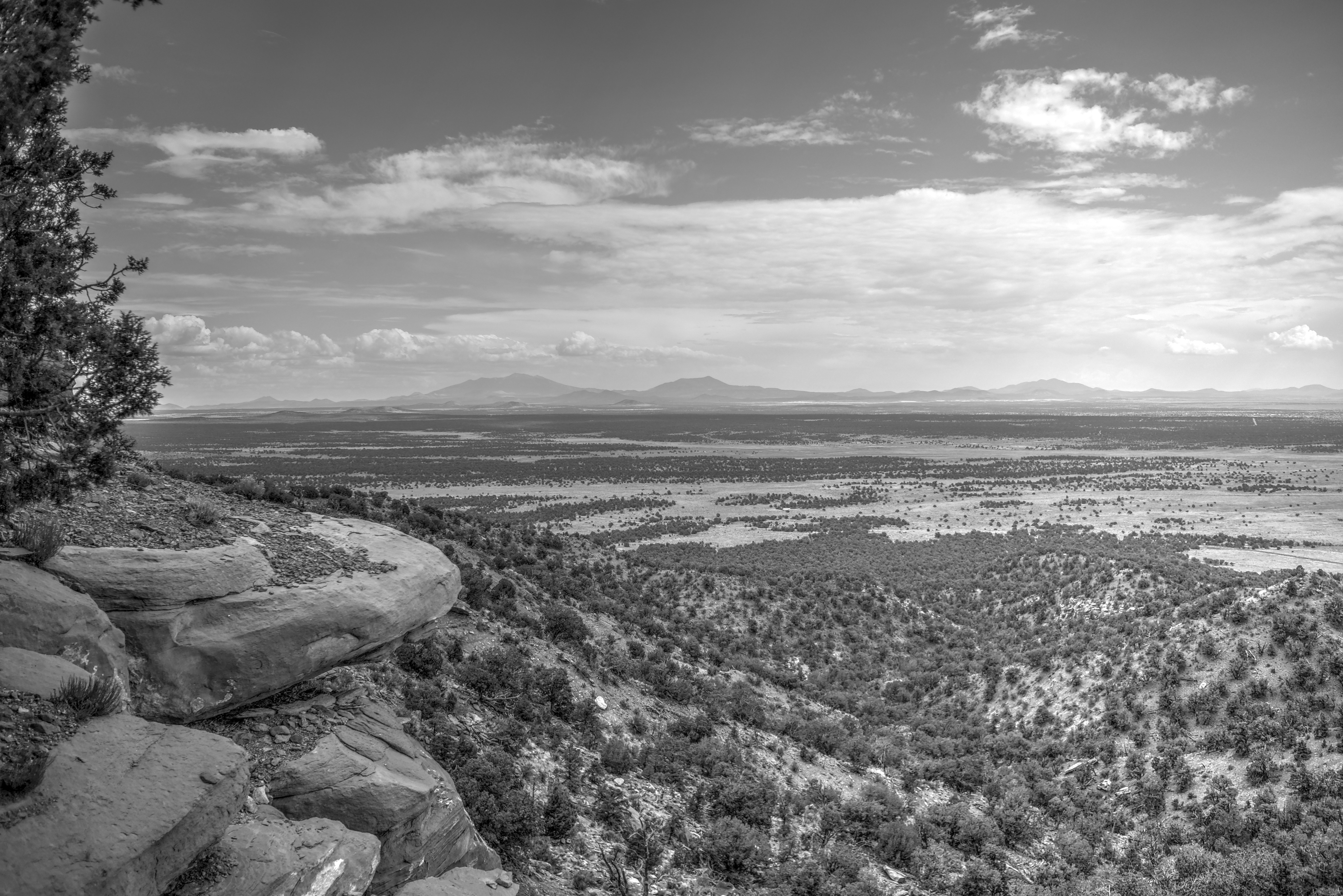 Coconino, Red Butte