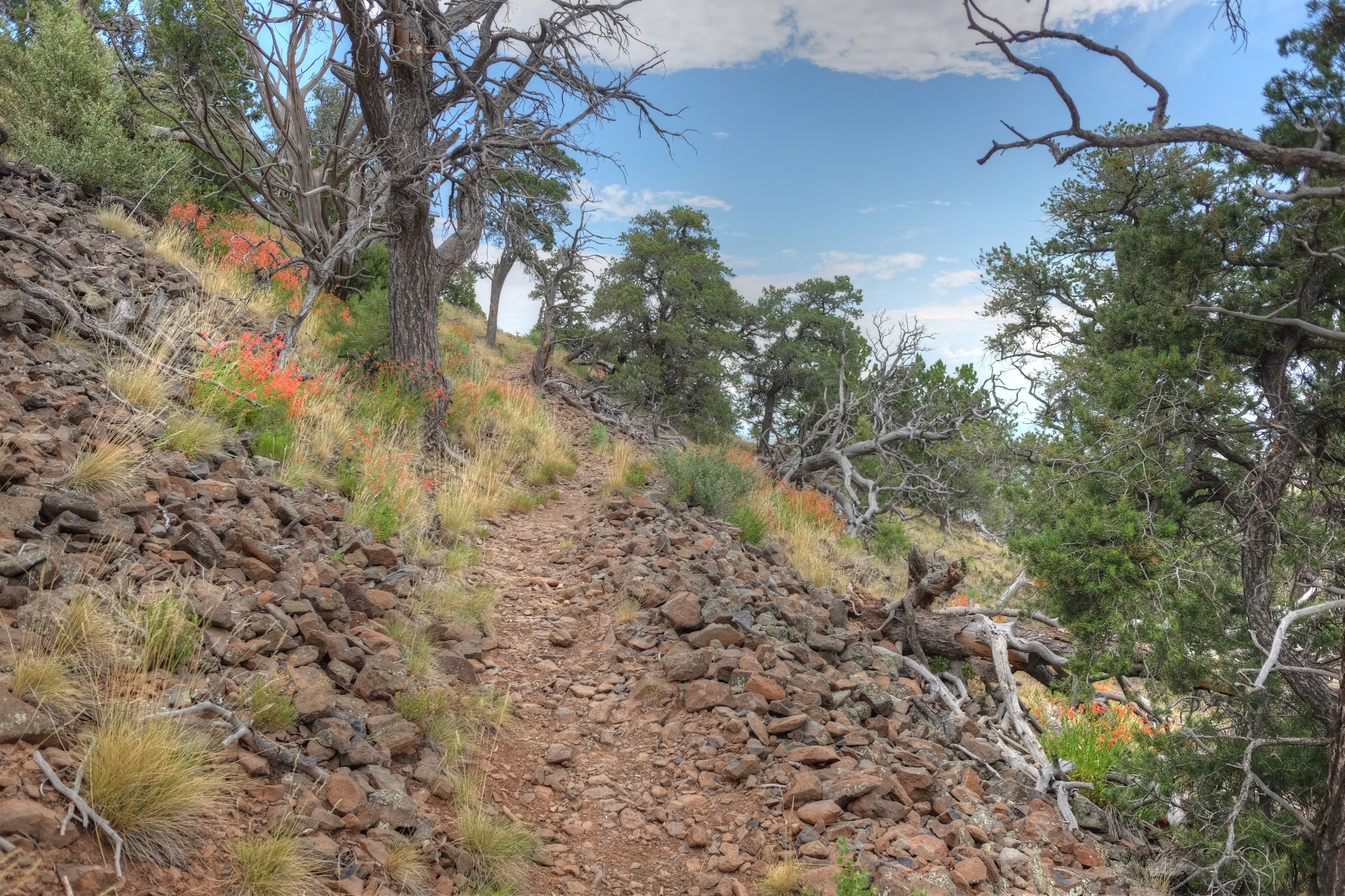 Coconino, Red Butte