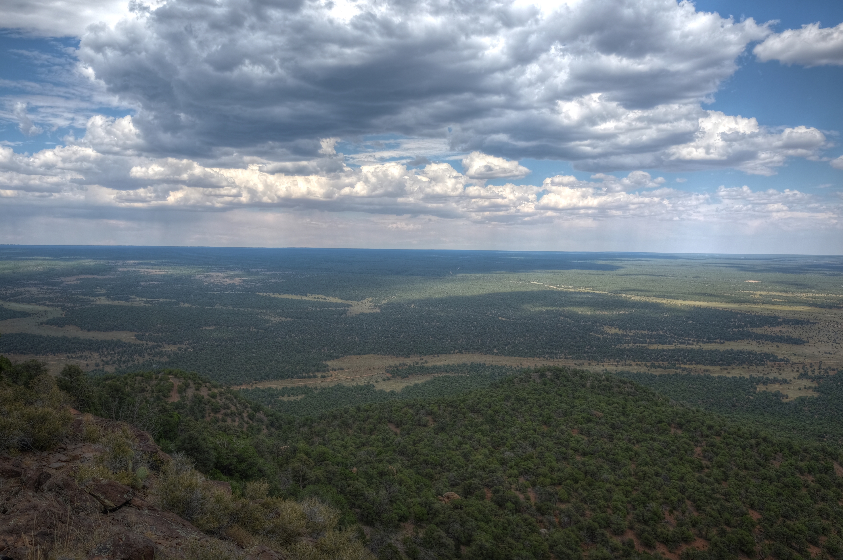 Coconino, Red Butte