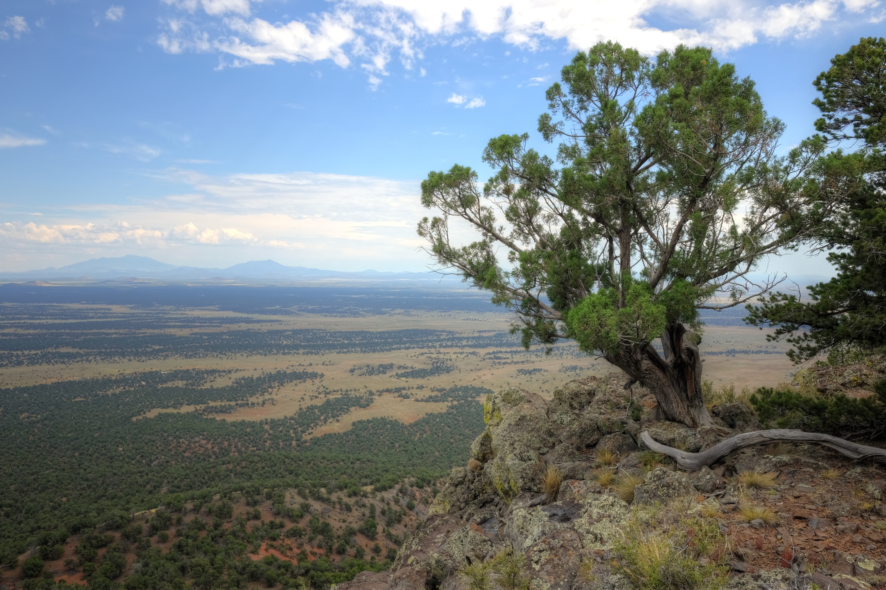 Coconino, Red Butte