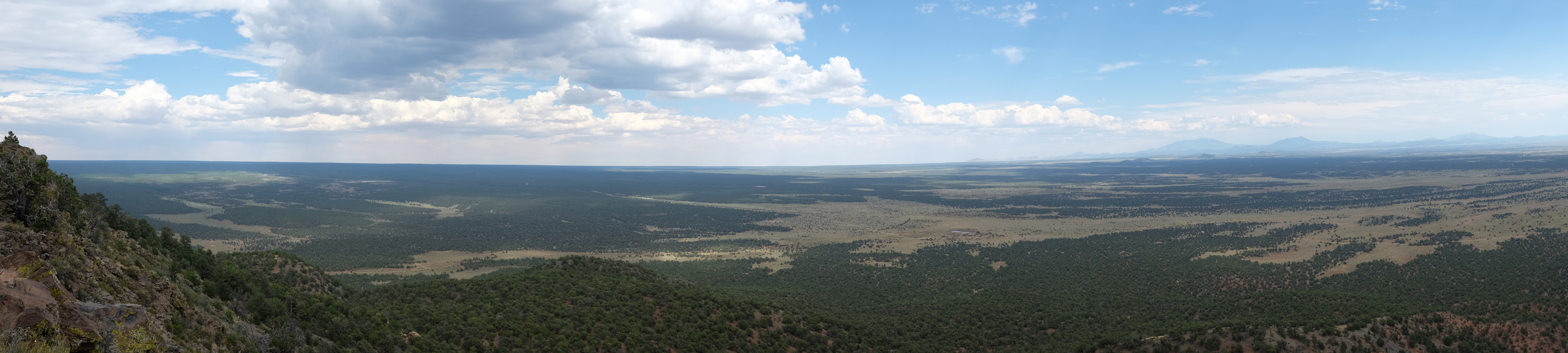 Coconino, Red Butte