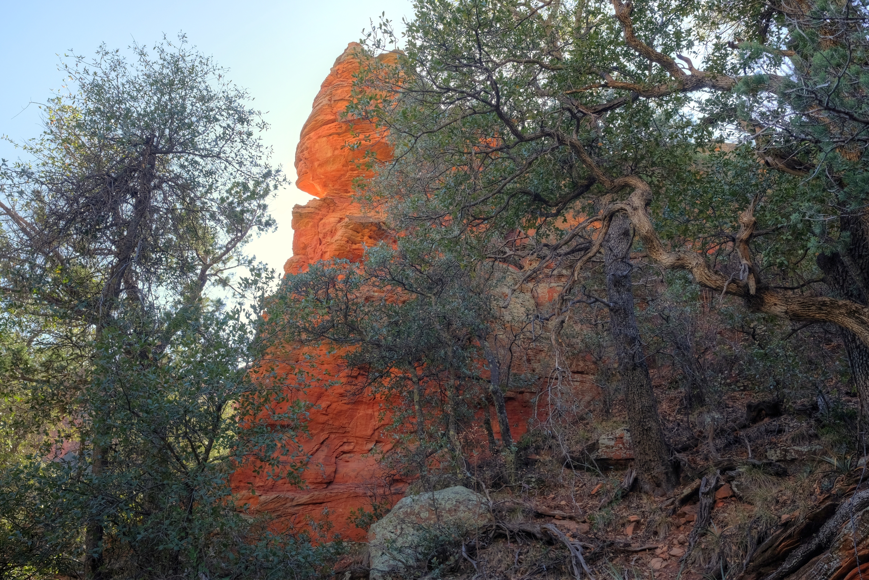 Sedona