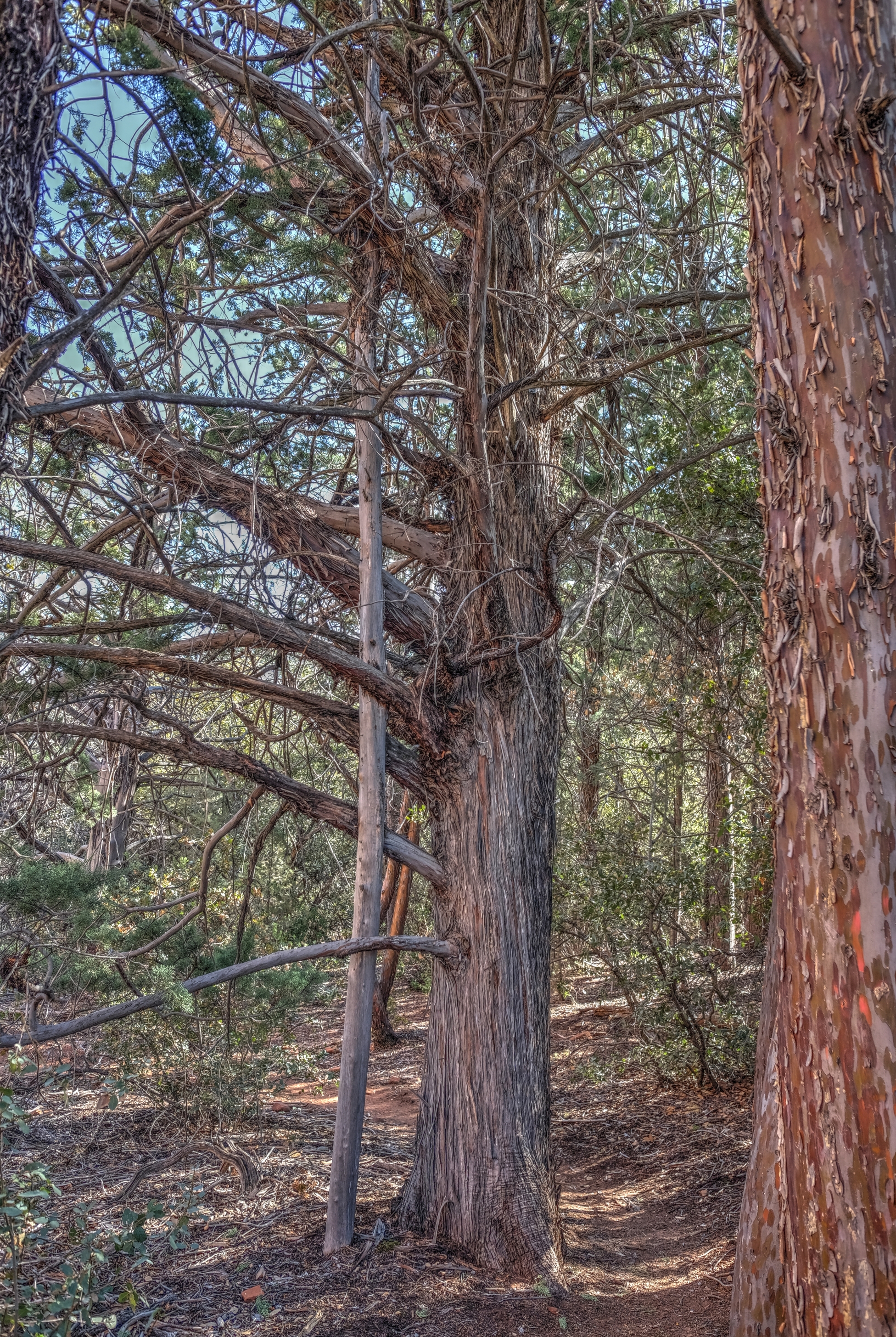 Sedona