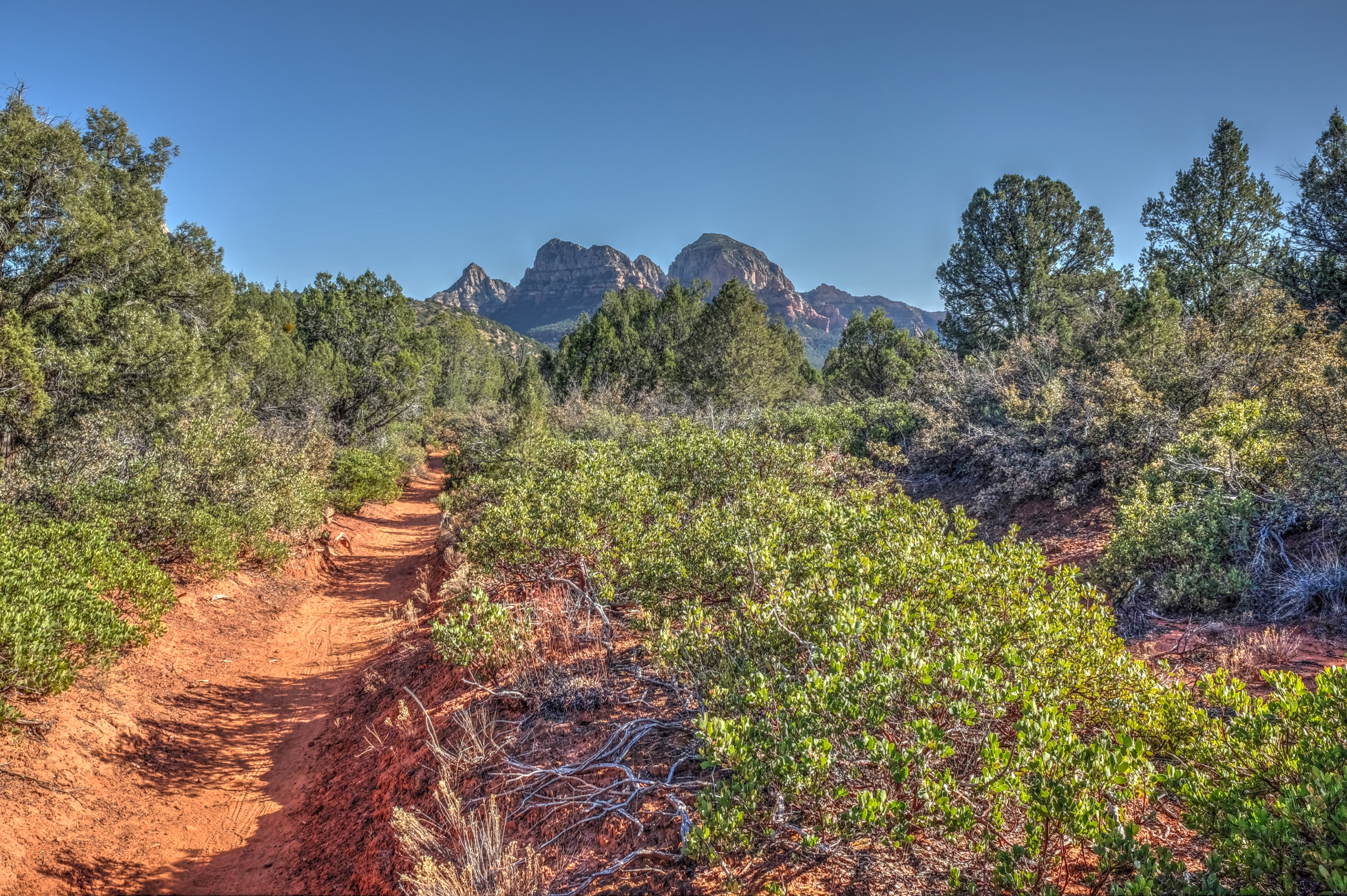 Long Canyon Trail