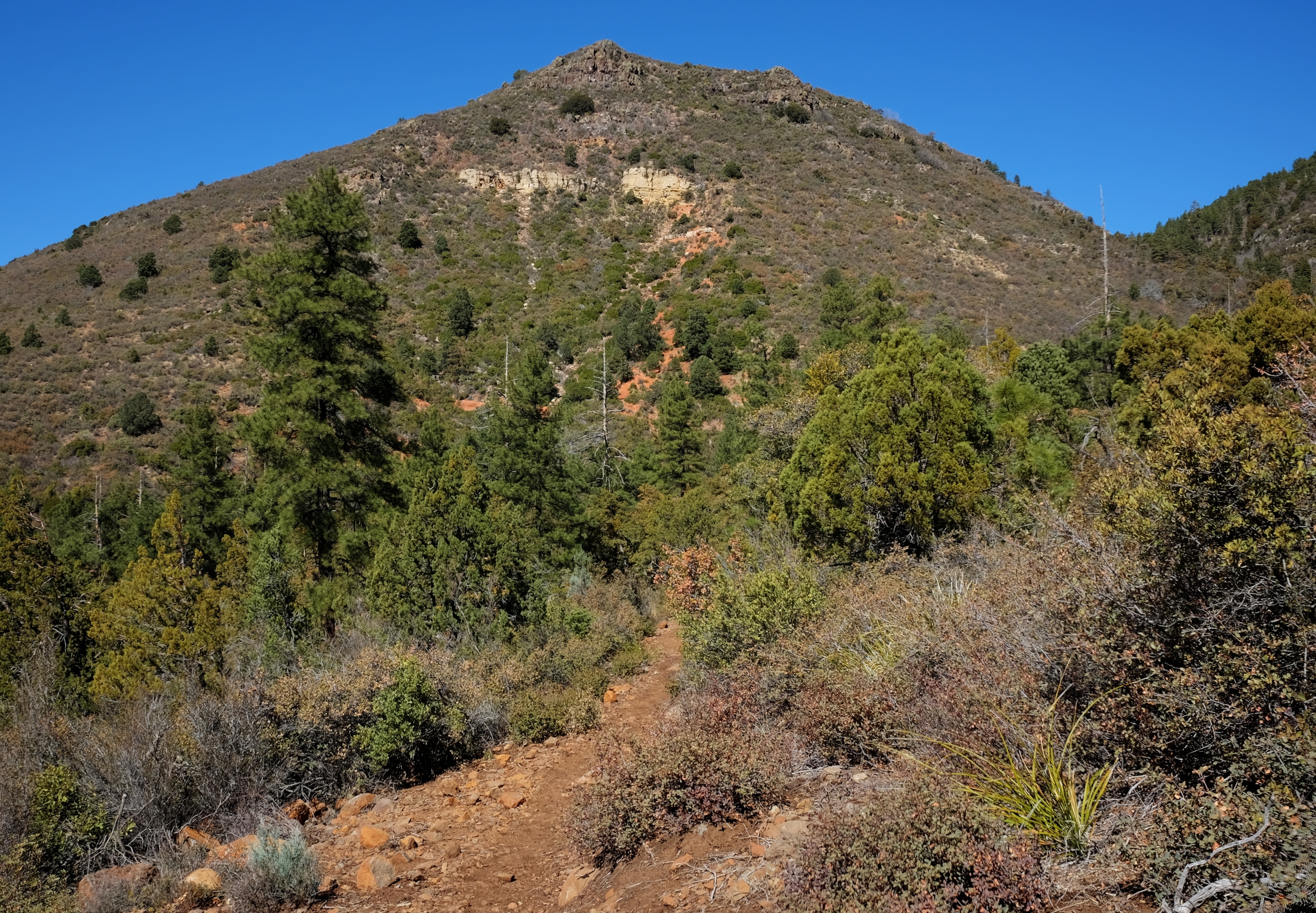 Mogollon, AzTrail