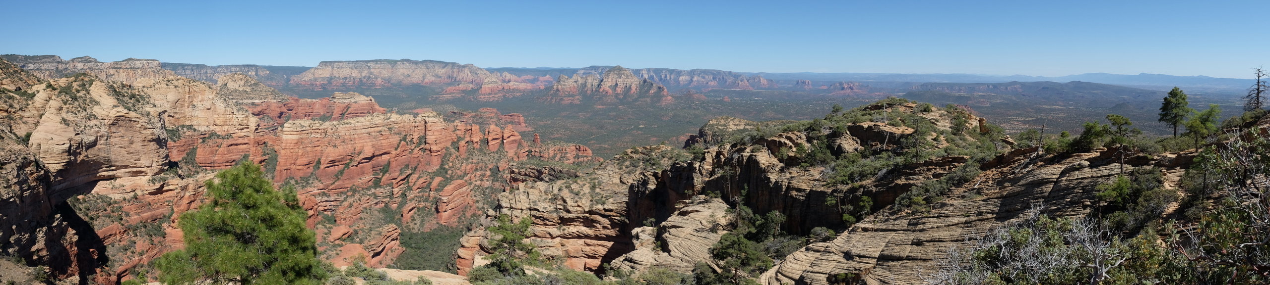 Sedona, Bear