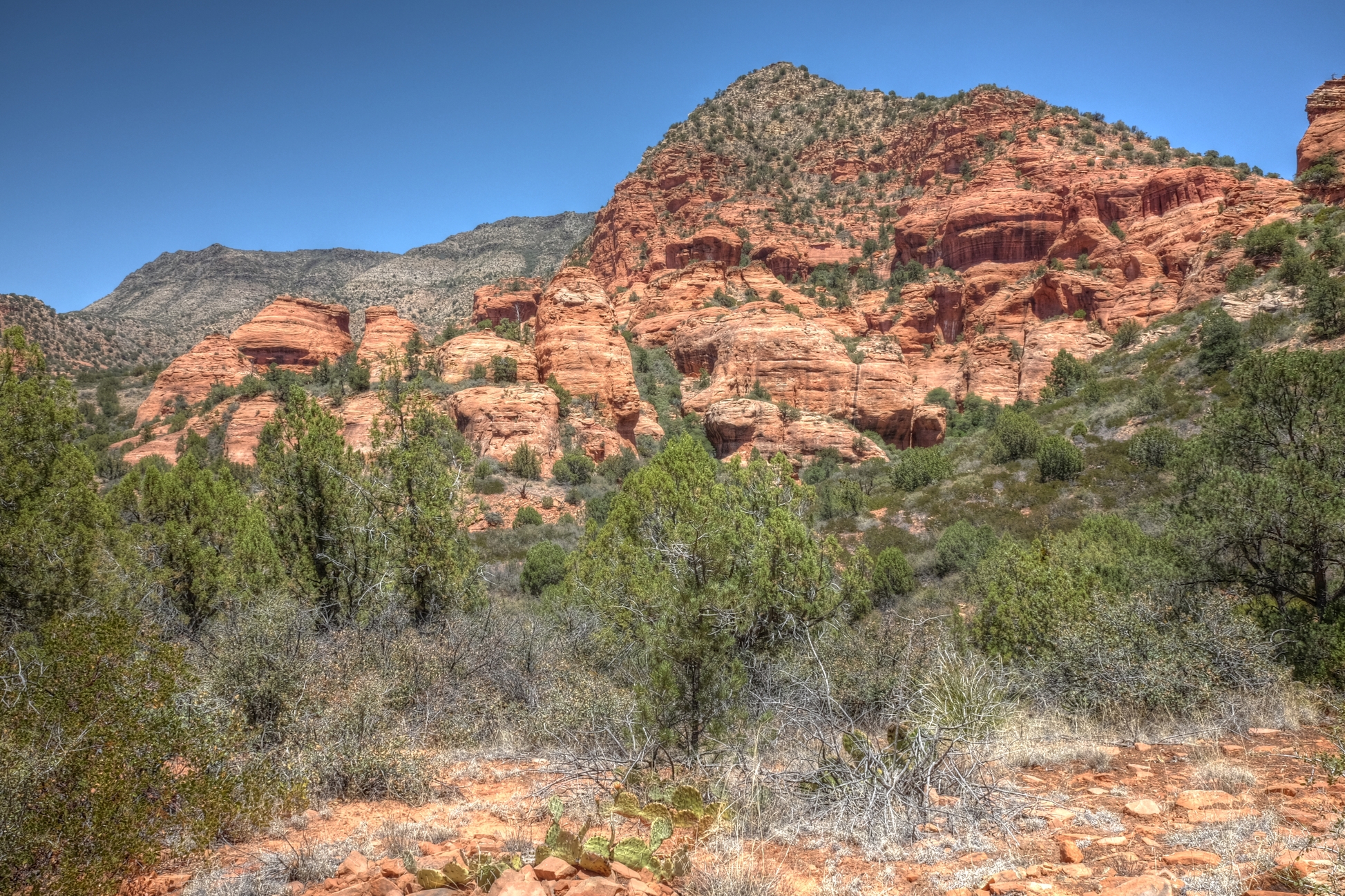 Sedona