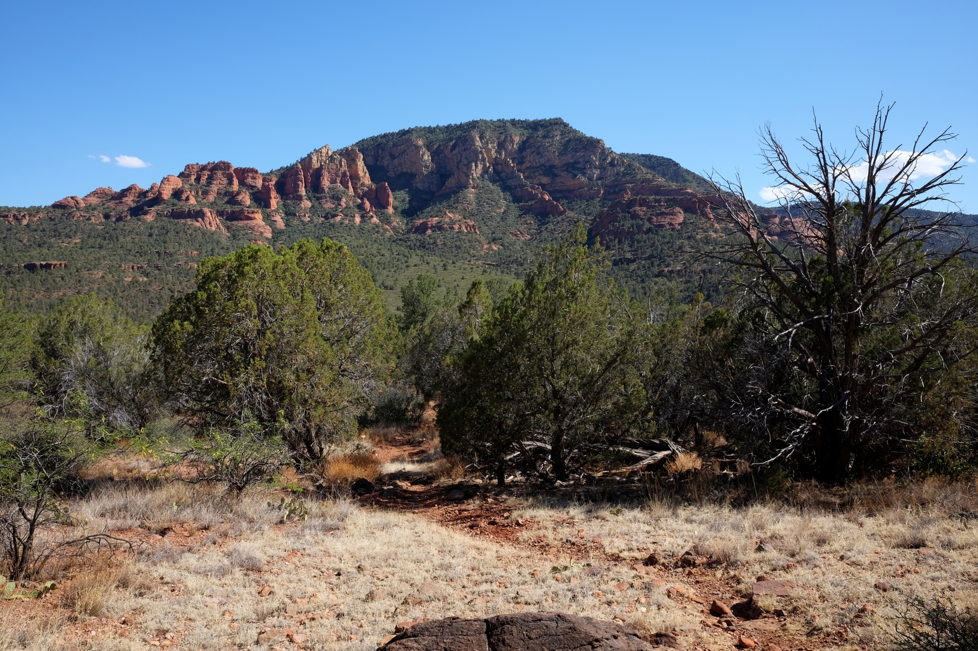 Sedona