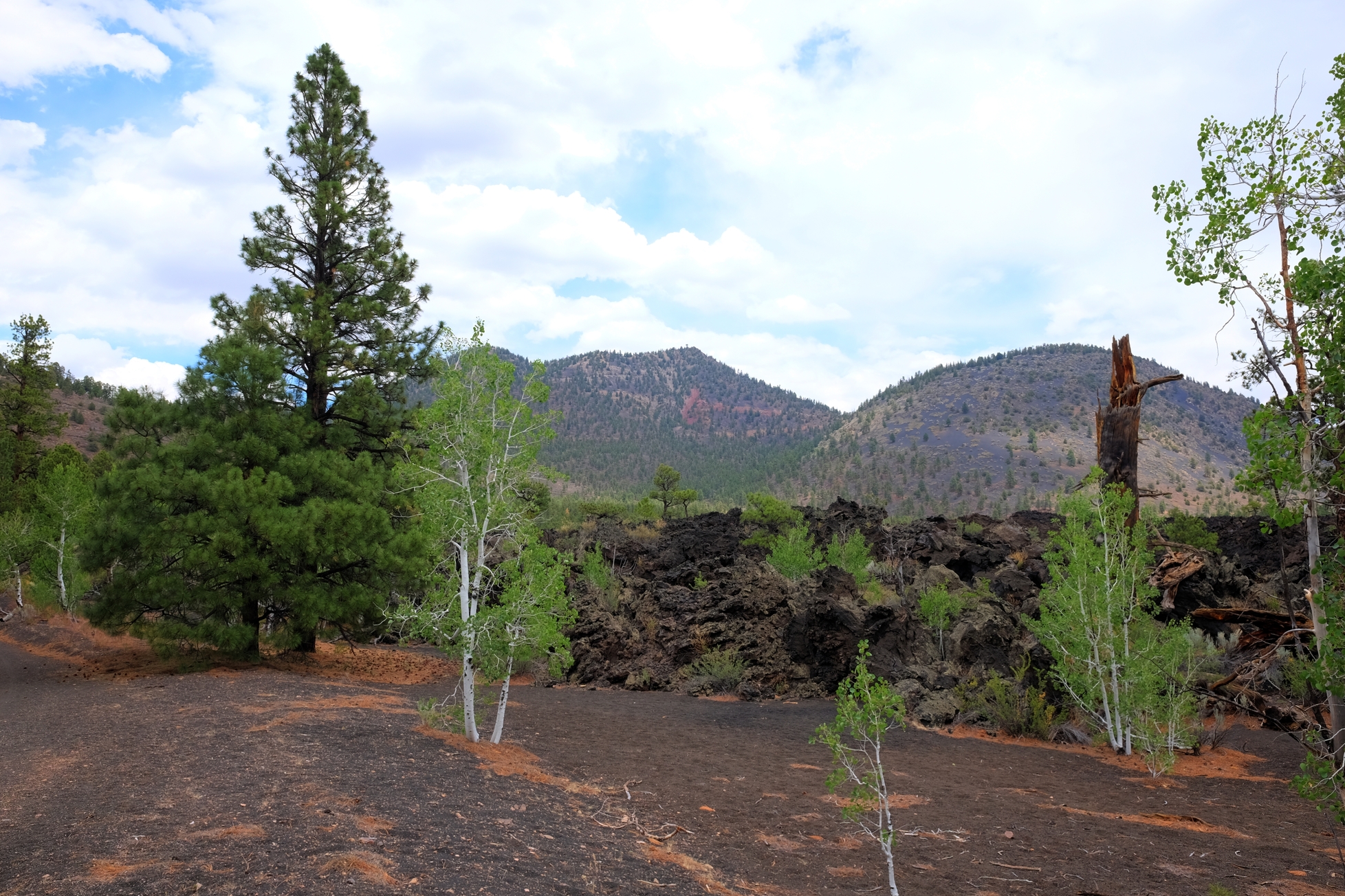 Flagstaff