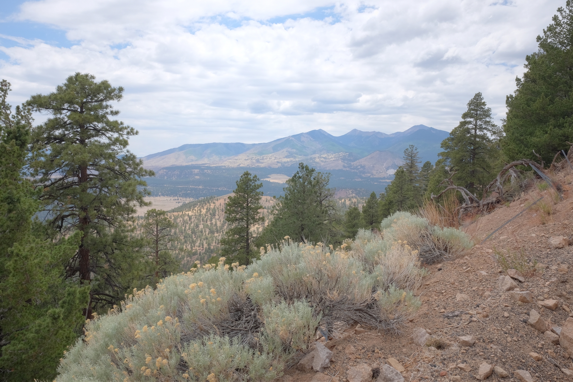 Flagstaff